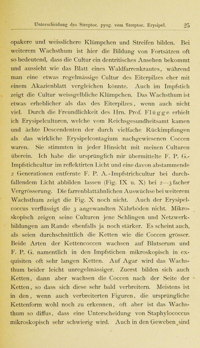 opakere und weisslicherc Klümpchen und Streifen bilden. Bei weiterem Wachsthum ist hier die Bildung von Fortsätzen oft so bedeutend, dass die Cultur ein dentritisches Ansehen bekommt und aussieht wie das Blatt eines Waldfarrenkrautes, während man eine etwas regelmässige Cultur des Eiterpilzes eher mit einem Akazienblatt vergleichen könnte. Auch im Impfstich zeigt die Cultur weissgelbliche Klümpchen. Das Wachsthum ist etwas erheblicher als das des Eiterpilzes, wenn auch nicht viel. Durch die Freundlichkeit des Hrn. Prof. Flügge erhielt ich Erysipelculturen, welche vom Reichsgesundheitsamt kamen und ächte Descendenten der durch vielfache Rückimpfungen als das wirkliche Erysipelcontagium nachgewiesenen Coccen waren. Sie stimmten in jeder Hinsicht mit meinen Culturen überein. Ich habe die ursprünglich mir übermittelte F. P. G.- Impfstichcultur im reflektirten Licht und eine davon abstammende 2 Generationen entfernte F. P. A.-Impfstrichcultur bei durch- fallendem Licht abbilden lassen (Fig. IX u. X) bei 2—3 facher Vergrösscrung. Die farrenblattähnlichcn Auswüchse bei weiterem Wachsthum zeigt die Fig. X noch nicht. Auch der Erysipel- coecus verflüssigt die 3 angewandten Nährböden nicht. Mikro- skopisch zeigen seine Culturen jene Schlingen und Netzwerk- bildungen am Rande ebenfalls ja noch stärker. Es scheint auch, als seien durchschnittlich die Ketten wie die Coccen grösser. Beide Arten der Kettencoccen wachsen auf Blutserum und F. P. G. namentlich in den Impfstichen mikroskopisch in ex- quisiten oft sehr langen Ketten. Auf Agar wird das Wachs- thum beider leicht unregelmässiger. Zuerst bilden sich auch Ketten, dann aber wachsen die Coccen nach der Seite der Ketten, so dass sich diese sehr bald verbreitern. Meistens ist in den, wenn auch verbreiterten Figuren, die ursprüngliche Kettenform wohl noch zu erkennen, oft aber ist das Wachs- thum so diffus, dass eine Unterscheidung von Staphylococcus mikroskopisch sehr schwierig wird. Auch in den Geweben _sind