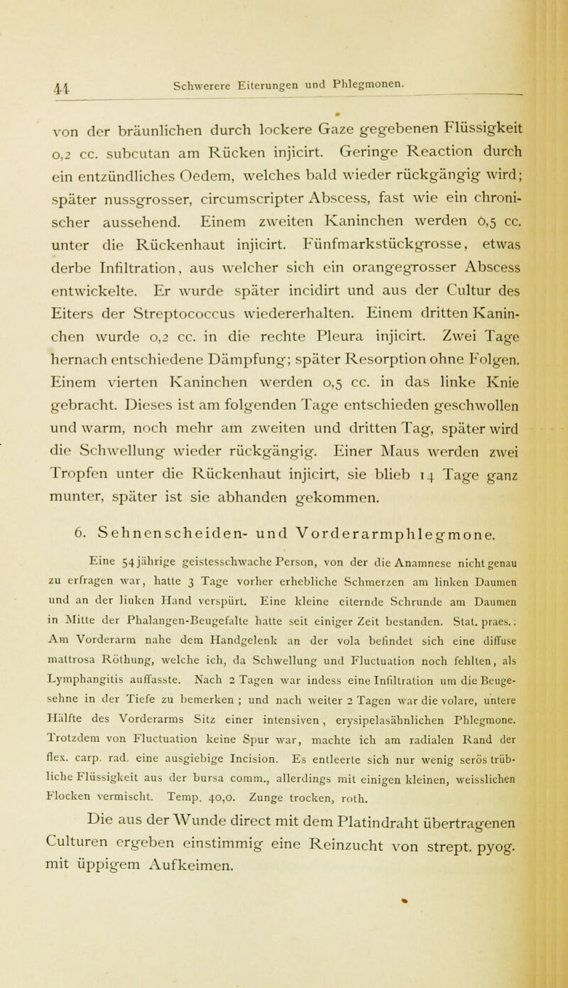 von der bräunlichen durch lockere Gaze gegebenen Flüssigkeit 0,2 cc. subcutan am Rücken injicirt. Geringe Reaction durch ein entzündliches Oedem, welches bald wieder rückgängig wird; später nussgrosser, circumscripter Abscess, fast wie ein chroni- scher aussehend. Einem zweiten Kaninchen werden 0,5 cc. unter die Rückenhaut injicirt. Fünfmarkstückgrosse, etwas derbe Infiltration, aus welcher sich ein orangegrosser Abscess entwickelte. Er wurde später incidirt und aus der Cultur des Eiters der Streptococcus wiedererhalten. Einem dritten Kanin- chen wurde 0,2 cc. in die rechte Pleura injicirt. Zwei Tage hernach entschiedene Dämpfung; später Resorption ohne Folgen. Einem vierten Kaninchen werden 0,5 cc. in das linke Knie gebracht. Dieses ist am folgenden Tage entschieden geschwollen und warm, noch mehr am zweiten und dritten Tag, später wird die Schwellung wieder rückgängig. Einer Maus werden zwei Tropfen unter die Rückenhaut injicirt, sie blieb 14 Tage ganz munter, später ist sie abhanden gekommen. 6. Sehnenscheiden- und Vorderarmphlegmone. Eine 54jährige geistesschwache Person, von der die Anamnese nicht genau zu erfragen war, hatte 3 Tage vorher erhebliche Schmerzen am linken Daumen und an der linken Hand verspürt. Eine Ideine eiternde Schrunde am Daumen in Mitte der Phalangen-Beugefalte hatte seit einiger Zeit bestanden. Stat. praes.. Am Vorderarm nahe dem Handgelenk an der vola befindet sich eine diffuse maltrosa Rölhung, welche ich, da Schwellung und Fluctuation noch fehlten, als Lymphangitis auffasste. Nach 2 Tagen war indess eine Infiltration um die Beuge- sehne in der Tiefe zu bemerken ; und nach weiter 2 Tagen war die volare, untere Hälfte des Vorderarms Sitz einer intensiven, erysipelasälinlichen Phlegmone. Trotzdem von Fluctuation keine Spur war, machte ich am radialen Rand der flex. carp. rad. eine ausgiebige Incision. Es entleerte sich nur wenig serös ti üb- liche Flüssigkeit aus der bursa comm., allerdings mit einigen kleinen, weisslichen Flocken vermischt. Temp. 40,0. Zunge trocken, roth. Die aus der Wunde direct mit dem Platindraht übertragenen Culturen ergeben einstimmig eine Reinzucht von strept. pyog. mit üppigem Aufkeimen.