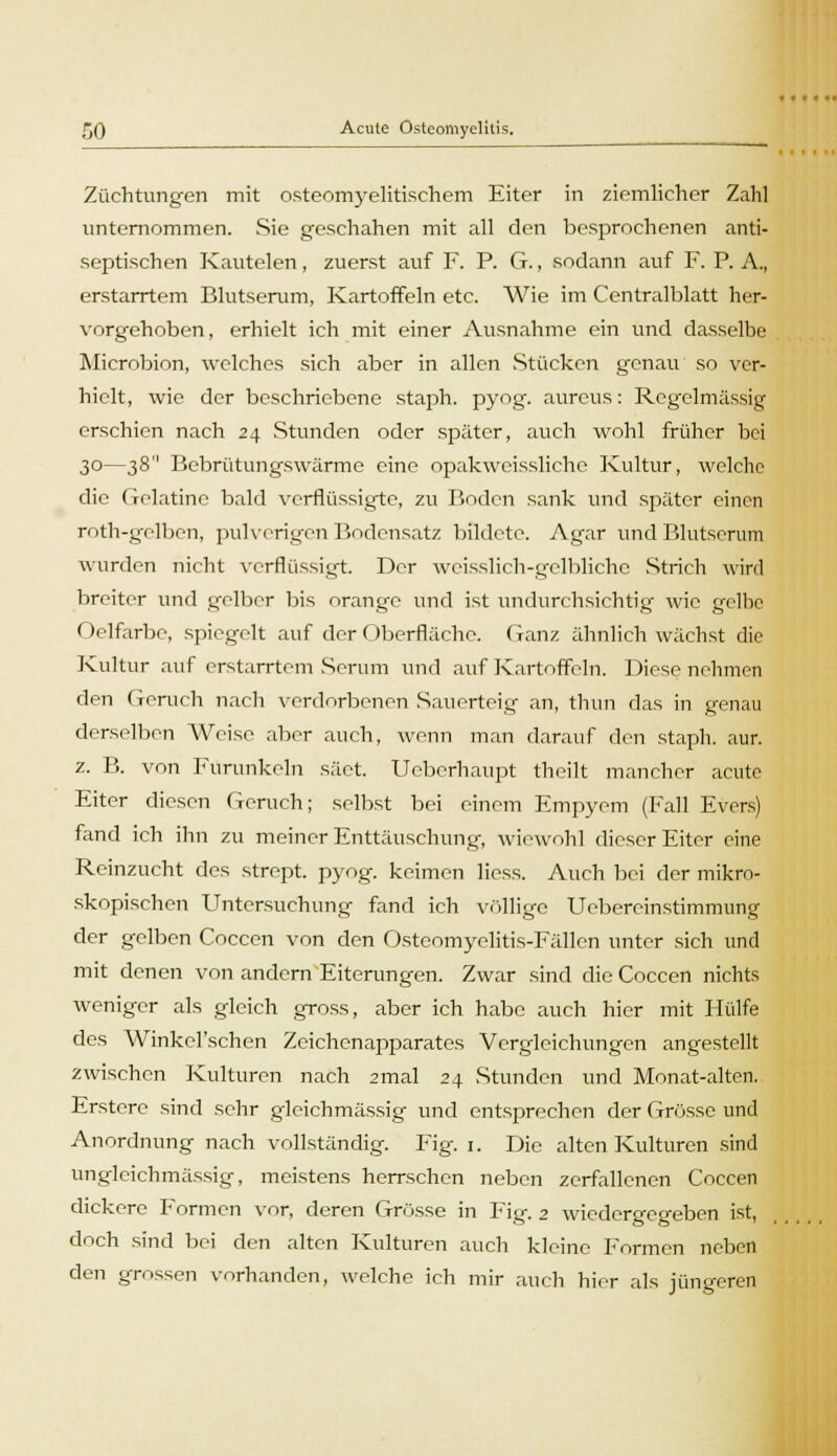 Züchtungen mit osteomyelitischem Eiter in ziemlicher Zahl unternommen. Sie geschahen mit all den besprochenen anti- septischen Kautelen, zuerst auf F. P. G., sodann auf F. P. A., erstarrtem Blutserum, Kartoffeln etc. Wie im Centralblatt her- vorgehoben, erhielt ich mit einer Ausnahme ein und dasselbe Microbion, welches sich aber in allen Stücken genau so ver- hielt, wie der beschriebene staph. pyog. aureus: Regelmässig erschien nach 24 Stunden oder später, auch wohl früher bei 30—38 Bebrütungswärme eine opakweissliche Kultur, welche die Gelatine bald verflüssigte, zu Boden sank und später einen roth-gelben, pul vorigen Bodensatz bildete. Agar und Blutserum wurden nicht verflüssigt. Der wcisslich-gclblichc Strich wird breiter und gelber bis orange und ist undurchsichtig wie gelbe Oelfarbc, spiegelt auf der Oberfläche. Ganz ähnlich wächst die Kultur auf erstarrtem Serum und auf Kartoffeln. Diese nehmen den Geruch nach verdorbenen Sauerteig an, thun das in genau derselben Weise aber auch, wenn man darauf den staph. aur. z. B. von Furunkeln säet. Ueberhaupt theilt mancher acute Eiter diesen Geruch; selbst bei einem Empyem (Fall Evers) fand ich ihn zu meiner Enttäuschung, wiewohl dieser Eiter eine Reinzucht des strept. pyog. keimen liess. Auch bei der mikro- skopischen Untersuchung fand ich völlige Ucbereinstimmung der gelben Coccen von den Osteomyelitis-Fällen unter sich und mit denen von andern Eiterungen. Zwar sind die Coccen nichts weniger als gleich gross, aber ich habe auch hier mit Hülfe des Winkel'schen Zeichenapparates Verglcichungen angestellt zwischen Kulturen nach 2mal 24 Stunden und Monat-alten. Ersterc sind sehr gleichmässig und entsprechen der Grösse und Anordnung nach vollständig. Fig. 1. Die alten Kulturen sind unglcichmässig, meistens herrschen neben zerfallenen Coccen dickere Formen vor, deren Grösse in Fig. 2 wiedergegeben ist, doch sind bei den alten Kulturen auch kleine Formen neben den grossen vorhanden, welche ich mir auch hier als jüngeren