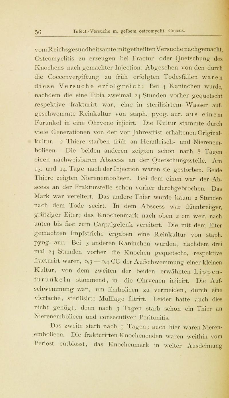 vom Reichsgesundheitsamte mitgctheilten Versuche nachgemacht, Osteomyelitis zu erzeugen bei Fractur oder Quetschung des Knochens nach gemachter Injection. Abgesehen von den durch die Coccenvergiftung zu früh erfolgten Todesfällen waren diese Versuche erfolgreich: Bei 4 Kaninchen wurde, nachdem die eine Tibia zweimal 24 Stunden vorher gequetscht respektive frakturirt war, eine in sterilisirtem Wasser auf- geschwemmte Reinkultur von staph. pyog. aur. aus einem Furunkel in eine Ohrvene injicirt. Die Kultur stammte durch viele Generationen von der vor Jahresfrist erhaltenen Original- kultur. 2 Thiere starben früh an Ilerzfleisch- und Nierenem- bolieen. Die beiden anderen zeigten schon nach 8 Tagen einen nachweisbaren Abscess an der Quetschungsstelle. Am 13. und 14. Tage nach der Injection waren sie gestorben. Beide Thiere zeig'ten Nierenembolieen. Bei dem einen war der Ab- scess an der Frakturstelle schon vorher durchgebrochen. Das Mark war vereitert. Das andere Thier wurde kaum 2 Stunden nach dem Tode secirt. In dem Abscess war dünnbreiiger, grütziger Eiter; das Knochenmark nach oben 2 cm weit, nach unten bis fast zum Carpalgelenk vereitert. Die mit dem Eiter gemachten Impfstriche ergaben eine Reinkultur von staph. pyog. aur. Bei 3 anderen Kaninchen wurden, nachdem drei mal 24 Stunden vorher die Knochen gequetscht, respektive fracturirt waren, 0,3 — 0,4 CC der Aufschwemmung einer kleinen Kultur, von dem zweiten der beiden erwähnten Lippen- furunkeln stammend, in die Ohrvenen injicirt. Die Auf- schwemmung war, um Emboliecn zu vermeiden, durch eine vierfache, sterilisirte Mulllage filtrirt. Leider hatte auch dies nicht genügt, denn nach 3 Tagen starb schon ein Thier an Nierenembolieen und consecutiver Peritonitis. Das zweite starb nach 9 Tagen ; auch hier waren Nieren- embolieen. Die frakturirten Knochenenden waren weithin vom Periost eritblösst, das Knochenmark in weiter Ausdehnung
