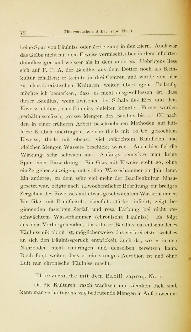 keine Spur von Fäulniss oder Zersetzung in den Eiern. Auch war das Gelbe nicht mit dem Eiweiss vermischt, aber in dem inficirten dünnflüssiger und weisser als in dem anderen. Uebrigens Hess sich auf F. P. A. der Bacillus aus dem Dotter noch als Rein- kultur erhalten; er keimte in drei Centren und wurde von hier zu charakteristischen Kulturen weiter übertragen. Beiläufig möchte ich bemerken, dass es nicht ausgeschlossen ist, dass dieser Bacillus, wenn zwischen der Schale des Eies und dem Eiweiss etablirt, eine Fäulniss einleiten könnte. Ferner wurden verhältnissmässig grosse Mengen des Bacillus bis 0,1 CC nach den in einer früheren Arbeit beschriebenen Methoden auf luft- leere Kolben übertragen, welche theils mit 10 Gr. gekochtem Eiweiss, theils mit ebenso viel gekochtem Rindflcich und gleichen Mengen Wassers beschickt waren. Auch hier fiel die Wirkung sehr schwach aus. Anfangs bemerkte man keine Spur einer Einwirkung. Ein Glas mit Eiweiss steht so, ohne ein Zergehen zu zeigen, mit vollem Wasserhammer ein Jahr lang. Ein anderes, zu dem sehr viel mehr der Bacillenkultur hinzu- gesetzt war, zeigte nach 14 wöchentlicher Bebrütung ein breiiges Zergehen des Eiweisses mit etwas geschwächtem Wasserhammer. Ein Glas mit Rindfleisch, ebenfalls stärker inficirt, zeigt be- ginnenden faserigen Zerfall und rosa Färbung bei nicht ge- schwächtem Wasserhammer (chronische Fäulniss). Es folgt aus dem Vorhergehenden, dass dieser Bacillus ein entschiedenes Fäulnissmikrobion ist, möglicherweise das verbreitetste, welches an sich den Fäulnissgeruch entwickelt, auch da, wo es in den Nährboden nicht eindringen und denselben zersetzen kann. Doch folgt weiter, dass er ein strenges Aerobion ist und ohne Luft nur chronische Fäulniss macht. Thierversuche mit dem Bacill. saprog. Nr. 1. Da die Kulturen rasch wachsen und ziemlich dick sind, kann man verhältnissmässia-bedeutende Mengen in Aufschwemm-