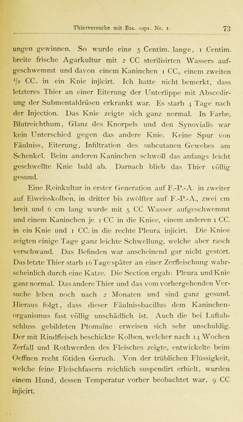 ungen gewinnen. So wurde eine 5 Centim. lange, 1 Centim. breite frische Agarkultur mit 2 CC sterilisirten Wassers auf- geschwemmt und davon einem Kaninchen 1 CC, einem zweiten '/a CC. in ein Knie injicirt. Ich hatte nicht bemerkt, dass letzteres Thier an einer Eiterung der Unterlippe mit Absccdir- ung der Submentaldrüsen erkrankt war. Es starb 4 Tage nach der Injection. Das Knie zeigte sich ganz normal. In Farbe, Blutreichthum, Glanz des Knorpels und den Synovialis war kein Unterschied gegen das andere Knie. Keine Spur von Fäulniss, Eiterung, Infiltration des subcutanen Gewebes am Schenkel. Beim anderen Kaninchen schwoll das anfangs leicht geschwellte Knie bald ab. Darnach blieb das Thier völlig gesund. Eine Reinkultur in erster Generation auf F.-P.-A. in zweiter auf Eiweisskolben, in dritter bis zwölfter auf F.-P.-A., zwei cm breit und 6 cm lang wurde mit 5 CC Wasser aufgeschwemmt und einem Kaninchen je 1 CC in die Kniee, einem anderen 1 CC. in ein Knie und 1 CC. in die rechte Pleura injicirt. Die Kniee zeigten einige Tage ganz leichte Schwellung-, welche aber rasch verschwand. Das Befinden war anscheinend gar nicht gestört. Das letzte Thier starb 16 Tage später an einer Zerfleischung wahr- scheinlich durch eine Katze. Die Section ergab: Pleura und Knie ganz normal. Das andere Thier und das vom vorhergehenden Ver- suche leben noch nach 2 Monaten und sind ganz gesund. Hieraus folgt, dass dieser Fäulnissbacillus dem Kaninchen- organismus fast völlig unschädlich ist. Auch die bei Luftab- schluss g-cbildotcn Ptomai'ne erweisen sich sehr unschuldig. Der mit Rindfleisch beschickte Kolben, welcher nach 14 Wochen Zerfall und Rothwerden des Fleisches zeigte, entwickelte beim Oeffnen recht fötiden Geruch. Von der trüblichen Flüssigkeit, welche feine Flcischfascrn reichlich suspendirt erhielt, wurden einem Hund, dessen Temperatur vorher beobachtet war, 9 CC injicirt.