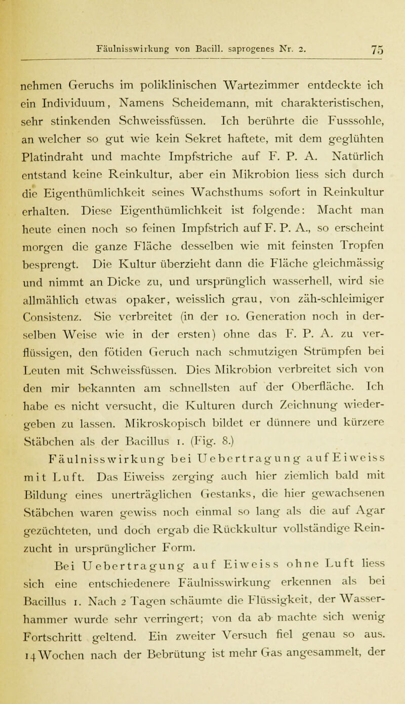 nehmen Geruchs im poliklinischen Wartezimmer entdeckte ich ein Individuum, Namens Scheidemann, mit charakteristischen, sehr stinkenden Schweissfüssen. Ich berührte die Fusssohle, an welcher so gut wie kein Sekret haftete, mit dem geglühten Platindraht und machte Impfstriche auf F. P. A. Natürlich entstand keine Reinkultur, aber ein Mikrobion liess sich durch die Eigenthümlichkeit seines Wachsthums sofort in Reinkultur erhalten. Diese Eigenthümlichkeit ist folgende: Macht man heute einen noch so feinen Impfstrich auf F. P. A., so erscheint morgen die ganze Fläche desselben wie mit feinsten Tropfen besprengt. Die Kultur überzieht dann die Fläche gleichmässig und nimmt an Dicke zu, und ursprünglich wasserhell, wird sie allmählich etwas opaker, weisslich grau, von zäh-schleimiger Consistenz. Sie verbreitet (in der 10. Generation noch in der- selben Weise wie in der ersten) ohne das F. P. A. zu ver- flüssigen, den fötiden Geruch nach schmutzigen Strümpfen bei Leuten mit Schweissfüssen. Dies Mikrobion verbreitet sich von den mir bekannten am schnellsten auf der Oberfläche. Ich habe es nicht versucht, die Kulturen durch Zeichnung wieder- geben zu lassen. Mikroskopisch bildet er dünnere und kürzere Stäbchen als der Bacillus i. (Fig. 8.) Fäulnisswirkung bei IT ebertrag u n g auf Eiweiss mit Luft. Das Eiweiss zerging auch hier ziemlich bald mit Bildung eines unerträglichen Gestanks, die hier gewachsenen Stäbchen waren gewiss noch einmal so lang als die auf Agar gezüchteten, und doch ergab die Rückkultur vollständige Rein- zucht in ursprünglicher Form. Bei Uebertragung auf Eiweiss ohne Luft liess sich eine entschiedenere Fäulnisswirkung erkennen als bei Bacillus i. Nach 2 Tagen schäumte die Flüssigkeit, der Wasser- hammer wurde sehr verringert; von da ab machte sich wenig Fortschritt geltend. Ein zweiter Versuch fiel genau so aus. 14 Wochen nach der Bebrütung ist mehr Gas angesammelt, der