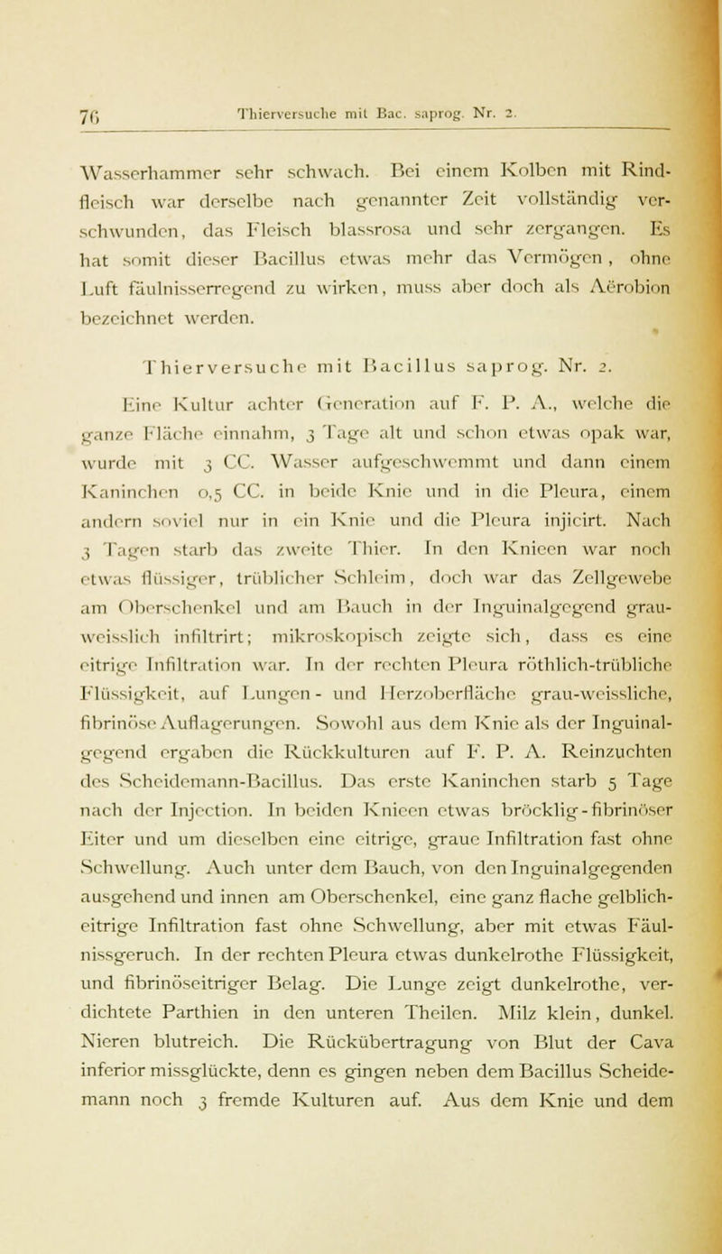 Wasserhammer sehr schwach. Bei einem Kolben mit Rind- fleisch war derselbe nach genannter Zeit vollständig ver- schwunden, das Fleisch blassrosa und sehr zergangen. Es hat somit dieser Bacillus etwas mehr das Vermögen , ohne Luft fäulnisserregend zu wirken, muss aber doch als Aerobion bezeichnet werden. Thierversuche mit Bacillus saprog. Nr. 2. Eine Kultur achter Generation auf F. P. A., welche die ganze Fläche einnahm, 3 Tage alt und schon etwas opak war, wurde mit 3 CC. Wasser aufgeschwemmt und dann einem Kaninchen 0,5 CC. in beide Knie und in die Pleura, einem andern soviel nur in ein Knie und die Pleura injicirt. Nach 3 Tagen starb das /weite Thier. In den Knieen war noch etwas flüssiger, trüblicher Schleim, doch war das Zellgewebe am Oberschenkel und am Bauch in der Inguinalgegend grau- weisslich inliltrirt; mikroskopisch zeigte sich, dass es eine eitrige Infiltration war. [n der rechten Pleura röthlich-trübliche Flüssigkeit, auf Lungen- und Herzoberfläche grau-weissliche, fibrinöse Auflagerungen. Sowohl aus dem Knie als der Inguinal- gegend ergaben die Rückkulturen auf F. P. A. Reinzuchten des Scheidomann-Bacillus. Das erste Kaninchen starb 5 Tage nach der Injection. In beiden Knieen etwas bröcklig -fibrinöser Fiter und um dieselben eine eitrige, graue Infiltration fast ohne Schwellung. Auch unter dem Bauch, von den Inguinalgegenden ausgehend und innen am Oberschenkel, eine ganz flache gelblich- eitrige Infiltration fast ohne Schwellung, aber mit etwas Fäul- nissgeruch. In der rechten Pleura etwas dunkelrothe Flüssigkeit, und fibrinöseitriger Belag. Die Lunge zeigt dunkelrothe, ver- dichtete Parthien in den unteren Thcilen. Milz klein, dunkel. Nieren blutreich. Die Rückübertragung von Blut der Cava inferior missglückte, denn es gingen neben dem Bacillus Scheide-