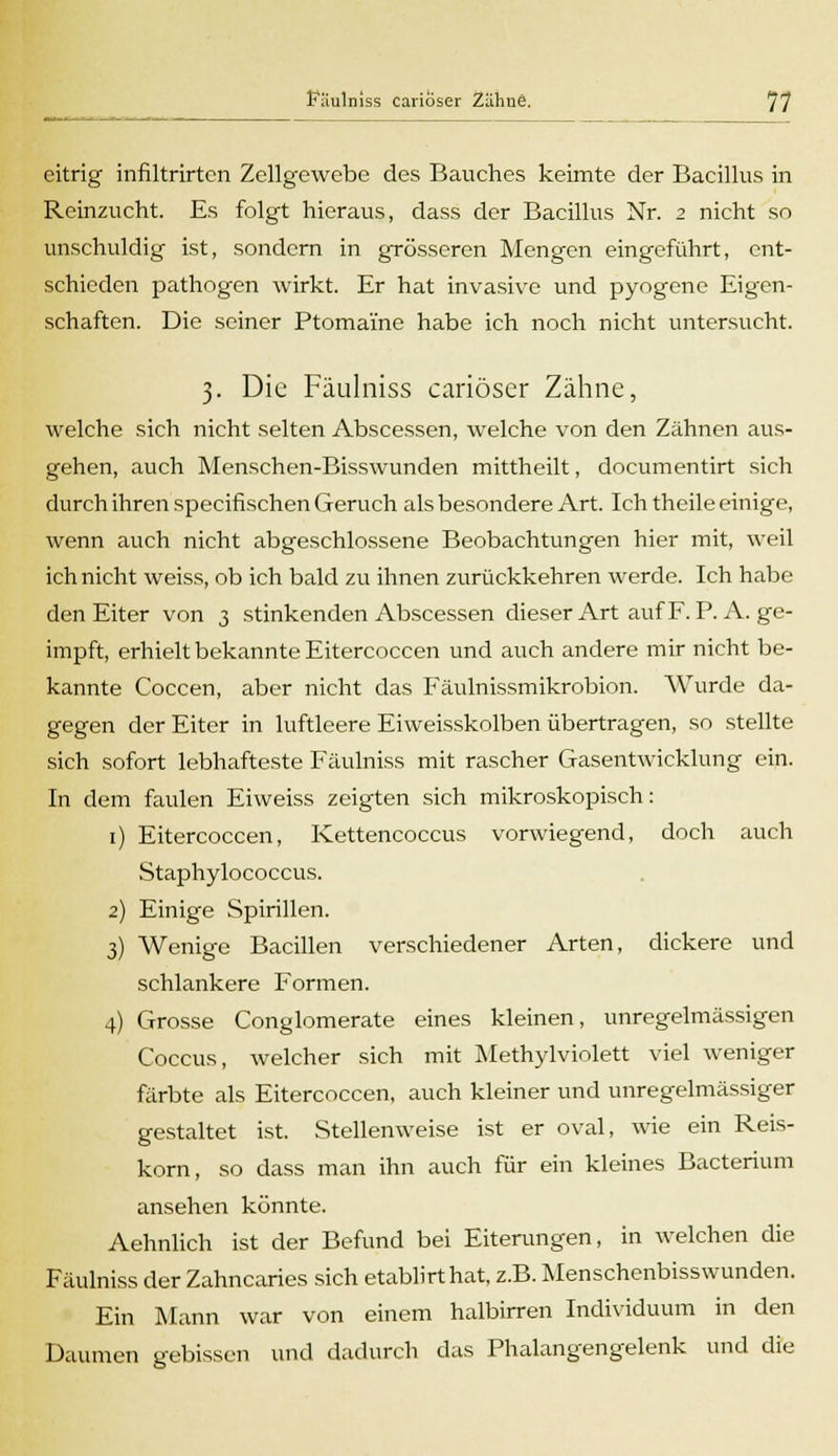 eitrig infiltrirtcn Zellgewebe des Bauches keimte der Bacillus in Reinzucht. Es folgt hieraus, dass der Bacillus Nr. 2 nicht so unschuldig ist, sondern in grösseren Mengen eingeführt, ent- schieden pathogen wirkt. Er hat invasive und pyogene Eigen- schaften. Die seiner Ptomai'ne habe ich noch nicht untersucht. 3. Die Fäulniss carioser Zähne, welche sich nicht selten Abscessen, welche von den Zähnen aus- gehen, auch Menschen-Bisswunden mittheilt, documentirt sich durch ihren speeifischen Geruch als besondere Art. Ich theile einige, wenn auch nicht abgeschlossene Beobachtungen hier mit, weil ich nicht weiss, ob ich bald zu ihnen zurückkehren werde. Ich habe den Eiter von 3 stinkenden Abscessen dieser Art auf F. P.A. ge- impft, erhielt bekannte Eitercoccen und auch andere mir nicht be- kannte Coccen, aber nicht das Fäulnissmikrobion. Wurde da- gegen der Eiter in luftleere Eiweisskolben übertragen, so stellte sich sofort lebhafteste Fäulniss mit rascher Gasentwicklung ein. In dem faulen Eiweiss zeigten sich mikroskopisch: 1) Eitercoccen, Kettencoccus vorwiegend, doch auch Staphylococcus. 2) Einige Spirillen. 3) Wenige Bacillen verschiedener Arten, dickere und schlankere Formen. 4) Grosse Conglomerate eines kleinen, unregelmässigen Coccus, welcher sich mit Methylviolett viel weniger färbte als Eitercoccen, auch kleiner und unregelmässiger gestaltet ist. Stellenweise ist er oval, wie ein Reis- korn, so dass man ihn auch für ein kleines Bacterium ansehen könnte. Aehnlich ist der Befund bei Eiterungen, in welchen die Fäulniss der Zahncaries sich etablirthat, z.B. Menschcnbisswunden. Ein Mann war von einem halbirren Individuum in den Daumen gebissen und dadurch das Phalangengelenk und die