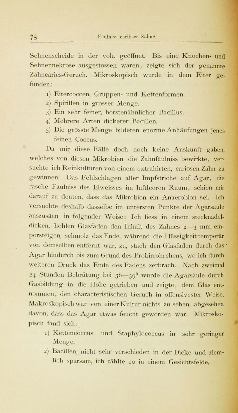 Sehnenscheide in der vola geöffnet. Bis eine Knochen- und Sehnennekrose ausgestossen waren, zeigte sich der genannte Zahncaries-Geruch. Mikroskopisch wurde in dein Eiter ge- funden : i) Eitercoccen, Gruppen- und Kettenformen. 2) Spirillen in grosser Menge. 3) Ein sehr feiner, borstenähnlicher Bacillus. 4) Mehrere Arten dickerer Bacillen. 5) Die grösste Menge bildeten enorme Anhäufungen jenes feinen Coccus. Da mir diese Eälle doch noch keine Auskunft gaben, welches von diesen Mikrobien die Zahnfaulniss bewirkte, ver- suchte ich Reinkulturen von einem extrahirten, cariösen Zahn zu gewinnen. Das Fehlschlagen aller Impfstriche auf Agar, die rasche V äulniss des Ei weisses im luftleeren Raum, schien mir darauf zu deuten, dass das Mikrobion ein Anaerobion sei. Ich versuchte deshalb dasselbe im untersten Punkte der Agarsäule auszusäen in folgender Weise: Ich Hess in einem stecknadel- dicken, hohlen Glasfaden den Inhalt des Zahnes 2—3 mm em- porsteigen, schmolz das Ende, während die Flüssigkeit temporär von demselben entfernt war, zu, stach den (riasfaden durch das Agar hindurch bis zum Grund des Probirröhrchens, wo ich durch weiteren Druck das Ende des Fadens zerbrach. Nach zweimal 24 Stunden Bebrütung bei 36—390 wurde die Agarsäule durch Gasbildung in die Höhe getrieben und zeigte, dem Glas ent- nommen, den charactcristischen Geruch in offensivester Weise. Makroskopisch war von einer Kultur nichts zusehen, abgesehen davon, dass das Agar etwas feucht geworden war. Mikrosko- pisch fand sich: 1) Kettencoccus und Staphylococcus in sehr geringer Menge. 2) Bacillen, nicht sehr verschieden in der Dicke und ziem-