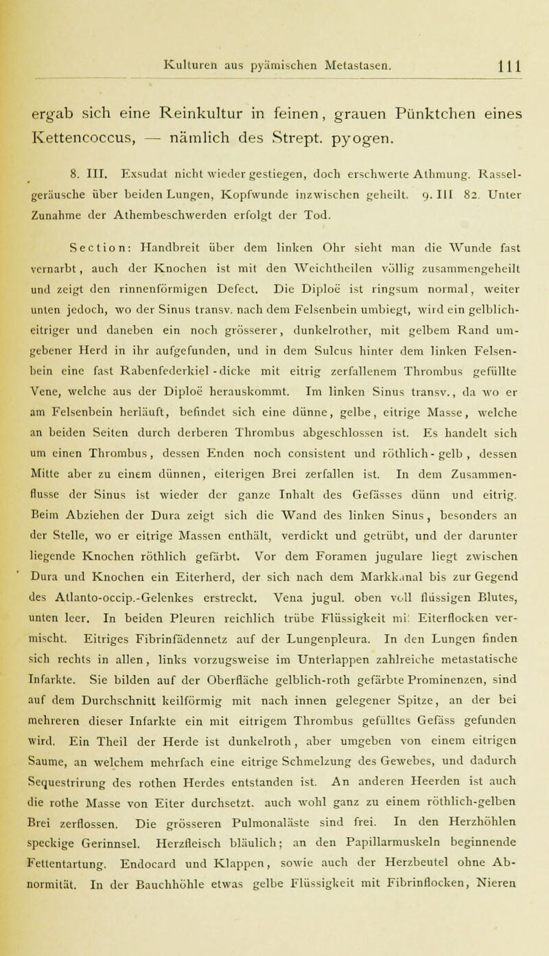 ergab sich eine Reinkultur in feinen, grauen Pünktchen eines Kettencoccus, — nämlich des Strept. pyogen. 8. III. Exsudat nicht wieder gestiegen, doch erschwerte Alhmung. Rassel- geräusche über beiden Lungen, Kopfwunde inzwischen geheilt. 9. III 82. Unter Zunahme der Atembeschwerden erfolgt der Tod. Section: Handbreit über dem linken Ohr sieht man die Wunde fast vernarbt, auch der Knochen ist mit den Weichtheilen völlig zusammengeheilt und zeigt den rinnenförmigen Defect. Die Diploe ist ringsum normal, weiter unten jedoch, wo der Sinus transv. nach dem Felsenbein umbiegt, wird ein gelblich- eitriger und daneben ein noch grösserer, dunkelrother, mit gelbem Rand um- gebener Herd in ihr aufgefunden, und in dem Sulcus hinter dem linken Felsen- bein eine fast Rabenfederkiel -dicke mit eitrig zerfallenem Thrombus gefüllte Vene, welche aus der Diploe herauskommt. Im linken Sinus transv., da wo er am Felsenbein herläuft, befindet sich eine dünne, gelbe, eitrige Masse, welche an beiden Seiten durch derberen Thrombus abgeschlossen ist. Es handelt sich um einen Thrombus, dessen Enden noch consistent und röthlich-gelb , dessen Mitte aber zu einem dünnen, eiterigen Brei zerfallen ist. In dem Zusammen- flusse der Sinus ist wieder der ganze Inhalt des Gefässes dünn und eitrig. Beim Abziehen der Dura zeigt sich die Wand des linken Sinus , besonders an der Stelle, wo er eitrige Massen enthält, verdickt und getrübt, und der darunter liegende Knochen röthlich gefärbt. Vor dem Foramen jugulare liegt zwischen Dura und Knochen ein Eiterherd, der sich nach dem Markk.inal bis zur Gegend des Atlanto-occip.-Gelenkes erstreckt. Vena jugul. oben voll flüssigen Blutes, unten leer. In beiden Pleuren reichlich trübe Flüssigkeit mi: Eiterflocken ver- mischt. Eitriges Fibrinfädennetz auf der Lungenpleura. In den Lungen finden sich rechts in allen , links vorzugsweise im Unterlappen zahlreiche metastatische Infarkte. Sie bilden auf der Oberfläche gelblich-roth gefärbte Prominenzen, sind auf dem Durchschnitt keilförmig mit nach innen gelegener Spitze, an der bei mehreren dieser Infarkte ein mit eitrigem Thrombus gefülltes Gefäss gefunden wird. Ein Theil der Herde ist dunkelroth, aber umgeben von einem eitrigen Saume, an welchem mehrfach eine eitrige Schmelzung des Gewebes, und dadurch Sequestrirung des rothen Herdes entstanden ist. An anderen Heerden ist auch die rothe Masse von Eiter durchsetzt, auch wohl ganz zu einem röthlich-gelben Brei zerflossen. Die grösseren Pulmonaläste sind frei. In den Herzhöhlen speckige Gerinnsel. Herzfleisch bläulich; an den Papillarmuskeln beginnende Fettentartung. Endocard und Klappen, sowie auch der Herzbeutel ohne Ab- normität. In der Bauchhöhle etwas gelbe Flüssigkeit mit Fibrinflocken, Nieren