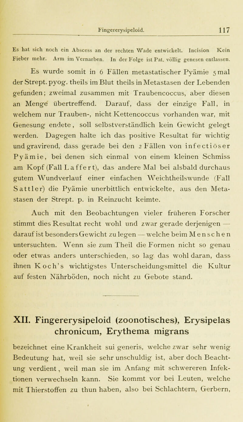 Es hat sich noch ein Abscess an der rechten Wade entwickelt. Incision Kein Fieber mehr. Arm im Vernarben. In der Folge ist Pat. völlig genesen entlassen. Es wurde somit in 6 Fällen metastatischer Pyämie 5 mal der Strept. pyog. theils im Blut theils in Metastasen der Lebenden gefunden; zweimal zusammen mit Traubencoccus, aber diesen an Menge übertreffend. Darauf, dass der einzige Fall, in welchem nur Frauben-, nicht Kettencoccus vorhanden war, mit Genesung endete, soll selbstverständlich kein Gewicht gelegt werden. Dagegen halte ich das positive Resultat für wichtig und gravirend, dass gerade bei den 2 Fällen von infectiöser Pyämie, bei denen sich einmal von einem kleinen Schmiss am Kopf (Fall Laffert), das andere Mal bei alsbald durchaus gutem Wundverlauf einer einfachen Weichtheilswunde (Fall Sattler) die Pyämie unerbittlich entwickelte, aus den Meta- stasen der Strept. p. in Reinzucht keimte. Auch mit den Beobachtungen vieler früheren Forscher stimmt dies Resultat recht wohl und zwar gerade derjenigen — darauf ist besonders Gewicht zu legen — welche beim Menschen untersuchten. Wenn sie zum Fheil die Formen nicht so genau oder etwas anders unterschieden, so lag das wohl daran, dass ihnen Koch's wichtigstes Unterscheidungsmittel die Kultur auf festen Nährböden, noch nicht zu Gebote stand. XII. Fingererysipeloid (zoonotisches), Erysipelas chronicum, Erythema migrans bezeichnet eine Krankheit sui generis, welche zwar sehr wenig Bedeutung hat, weil sie sehr unschuldig ist, aber doch Beacht- ung verdient, weil man sie im Anfang mit schwereren Infek- tionen verwechseln kann. Sie kommt vor bei Leuten, welche mit Fhierstoffen zu thun haben, also bei Schlachtern, Gerbern,