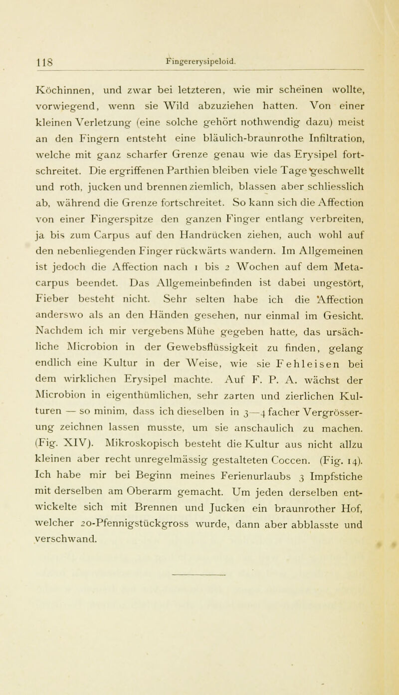 \IS Fingererysipeloid. Köchinnen, und zwar bei letzteren, wie mir scheinen wollte, vorwiegend, wenn sie Wild abzuziehen hatten. Von einer kleinen Verletzung (eine solche gehört nothwendig dazu) meist an den Fingern entsteht eine bläulich-braunrothe Infiltration, welche mit ganz scharfer Grenze genau wie das Erysipel fort- schreitet. Die ergriffenen Parthien bleiben viele Tage geschwellt und roth, jucken und brennen ziemlich, blassen aber schliesslich ab, während die Grenze fortschreitet. So kann sich die Affection von einer Fingerspitze den ganzen Finger entlang verbreiten, ja bis zum Carpus auf den Handrücken ziehen, auch wohl auf den nebenliegenden Finger rückwärts wandern. Im Allgemeinen ist jedoch die Affection nach i bis 2 Wochen auf dem Meta- carpus beendet. Das Allgemeinbefinden ist dabei ungestört, Fieber besteht nicht. Sehr selten habe ich die Affection anderswo als an den Händen gesehen, nur einmal im Gesicht. Nachdem ich mir vergebens Mühe gegeben hatte, das ursäch- liche Microbion in der Gewebsflüssigkeit zu finden, gelang endlich eine Kultur in der Weise, wie sie Fehleisen bei dem wirklichen Erysipel machte. Auf F. P. A. wächst der Microbion in eigenthümlichen, sehr zarten und zierlichen Kul- turen — so minim, dass ich dieselben in 3—4 facher Vergrösser- ung zeichnen lassen musste, um sie anschaulich zu machen. (Fig. XIV). Mikroskopisch besteht die Kultur aus nicht allzu kleinen aber recht unregelmässig gestalteten Coccen. (Fig. 14). Ich habe mir bei Beginn meines Ferienurlaubs 3 Impfstiche mit derselben am Oberarm gemacht. Um jeden derselben ent- wickelte sich mit Brennen und Jucken ein braunrother Hof, welcher 20-Pfennigstückgross wurde, dann aber abblasste und verschwand.