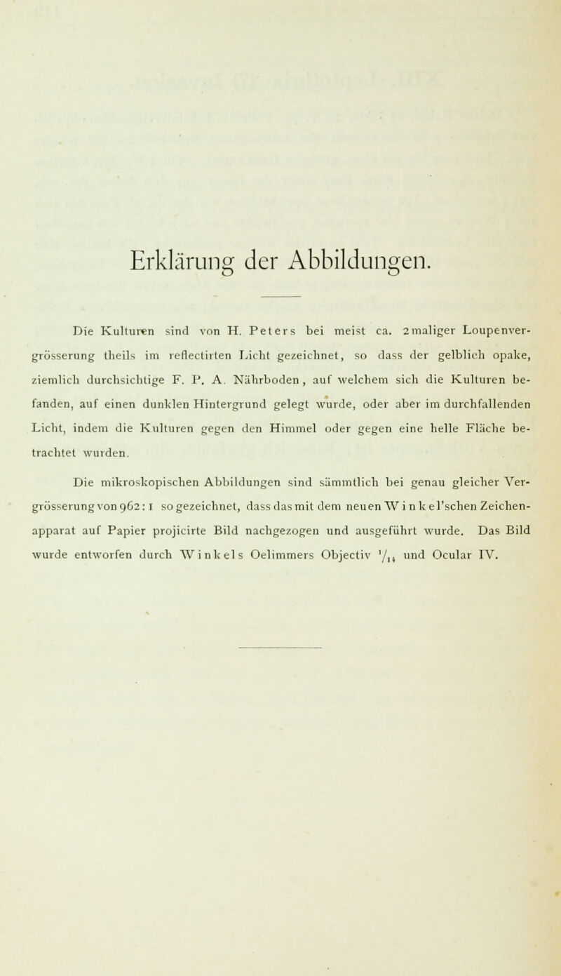 Erklärung der Abbildungen. Die Kulturen sind von H. Peters bei meist ca. 2maliger Loupenver- grösserung theil.s im reflectirten Licht gezeichnet, so dass der gelblich opake, ziemlich durchsichtige F. P, A. Nährboden, auf welchem sich die Kulturen be- fanden, auf einen dunklen Hintergrund gelegt wurde, oder aber im durchfallenden Licht, indem die Kulturen gegen den Himmel oder gegen eine helle Fläche be- trachtet wurden. Die mikroskopischen Abbildungen sind sämmtlich bei genau gleicher Ver- grösserungvonqG2:1 so gezeichnet, dass dasmit dem neuen Winke l'schen Zeichen- apparat auf Papier projicirte Bild nachgezogen und ausgeführt wurde. Das Bild wurde entworfen durch Winkels Oelimmers Objectiv '/,, und Ocular IV.