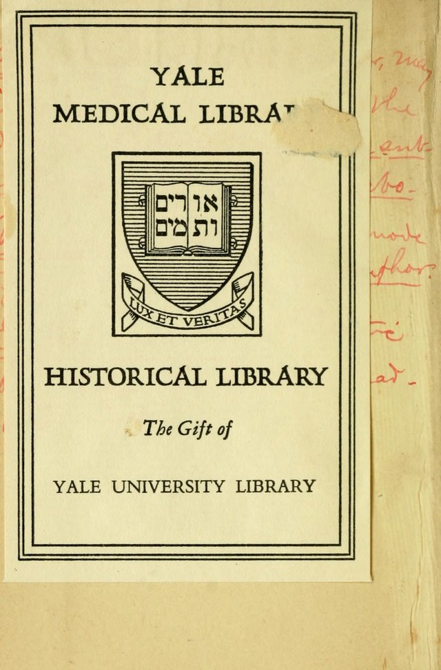 digitised image 2