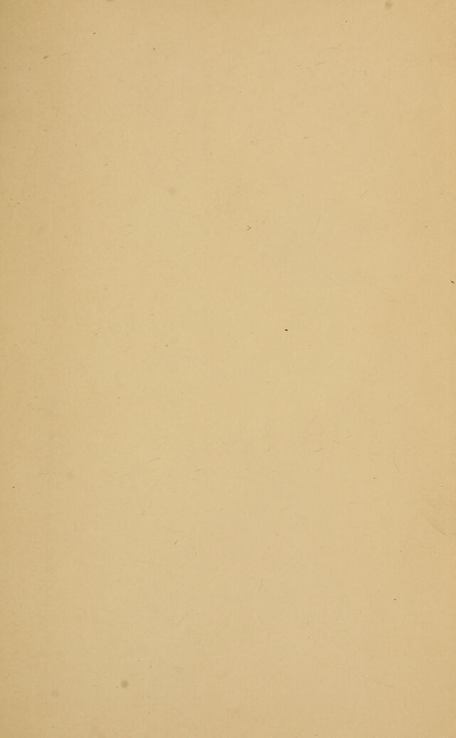 digitised image 3