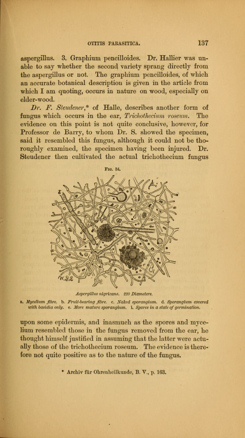 aspergillus. 3. Graphium pencilloides. Dr. Hallier was un- able to say whether the second variety sprang directly from the aspergillus or not. The graphium pencilloides, of which an accurate botanical description is given in the article from which I am quoting, occurs in nature on wood, especially on elder-wood. Dr. F. Steudener* of Halle, describes another form of fungus which occurs in the ear, Trichotliecium roseum. The evidence on this point is not quite conclusive, however, for Professor de Barry, to whom Dr. S. showed the specimen, said it resembled this fungus, although it could not be tho- roughly examined, the specimen having been injured. Dr. Steudener then cultivated the actual trichothecium fungus Fig. 34. Aspergillus nigricans. 220 Diameters. a. Mycelium fibre, b. Fruit-bearing fibre, c. Naked sporangium, d. Sporangium covered with basidia only. e. More mature sporangium, i. Spores in a state of germination. upon some epidermis, and inasmuch as the spores and myce- lium resembled those in the fungus removed from the ear, he thought himself justified in assuming that the latter were actu- ally those of the trichothecium roseum. The evidence is there- fore not quite positive as to the nature of the fungus.