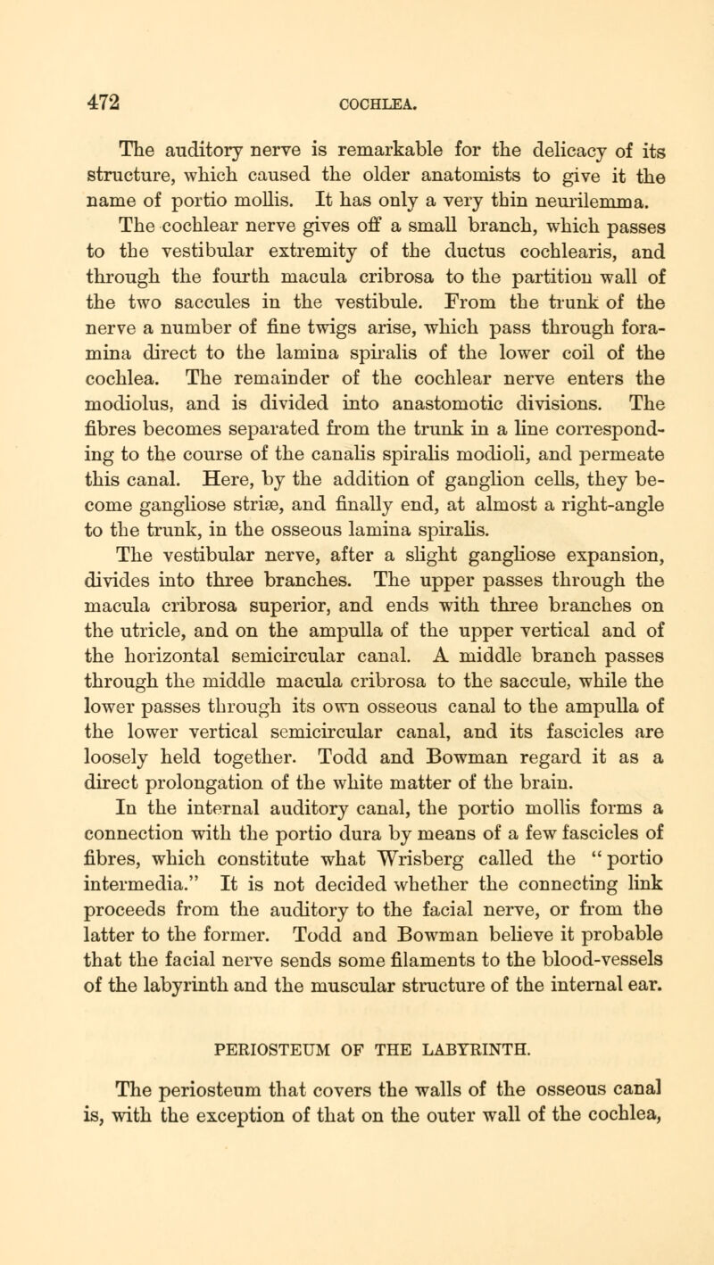 The auditory nerve is remarkable for the delicacy of its structure, which caused the older anatomists to give it the name of portio mollis. It has only a very thin neurilemma. The cochlear nerve gives off a small branch, which passes to the vestibular extremity of the ductus cochlearis, and through the fourth macula cribrosa to the partition wall of the two saccules in the vestibule. From the trunk of the nerve a number of fine twigs arise, which pass through fora- mina direct to the lamina spiralis of the lower coil of the cochlea. The remainder of the cochlear nerve enters the modiolus, and is divided into anastomotic divisions. The fibres becomes separated from the trunk in a line correspond- ing to the course of the canalis spiralis modioli, and permeate this canal. Here, by the addition of ganglion cells, they be- come gangliose striae, and finally end, at almost a right-angle to the trunk, in the osseous lamina spiralis. The vestibular nerve, after a slight gangliose expansion, divides into three branches. The upper passes through the macula cribrosa superior, and ends with three branches on the utricle, and on the ampulla of the upper vertical and of the horizontal semicircular canal. A middle branch passes through the middle macula cribrosa to the saccule, while the lower passes through its own osseous canal to the ampulla of the lower vertical semicircular canal, and its fascicles are loosely held together. Todd and Bowman regard it as a direct prolongation of the white matter of the brain. In the internal auditory canal, the portio mollis forms a connection with the portio dura by means of a few fascicles of fibres, which constitute what Wrisberg called the portio intermedia. It is not decided whether the connecting link proceeds from the auditory to the facial nerve, or from the latter to the former. Todd and Bowman believe it probable that the facial nerve sends some filaments to the blood-vessels of the labyrinth and the muscular structure of the internal ear. PERIOSTEUM OF THE LABYRINTH. The periosteum that covers the walls of the osseous canal is, with the exception of that on the outer wall of the cochlea,