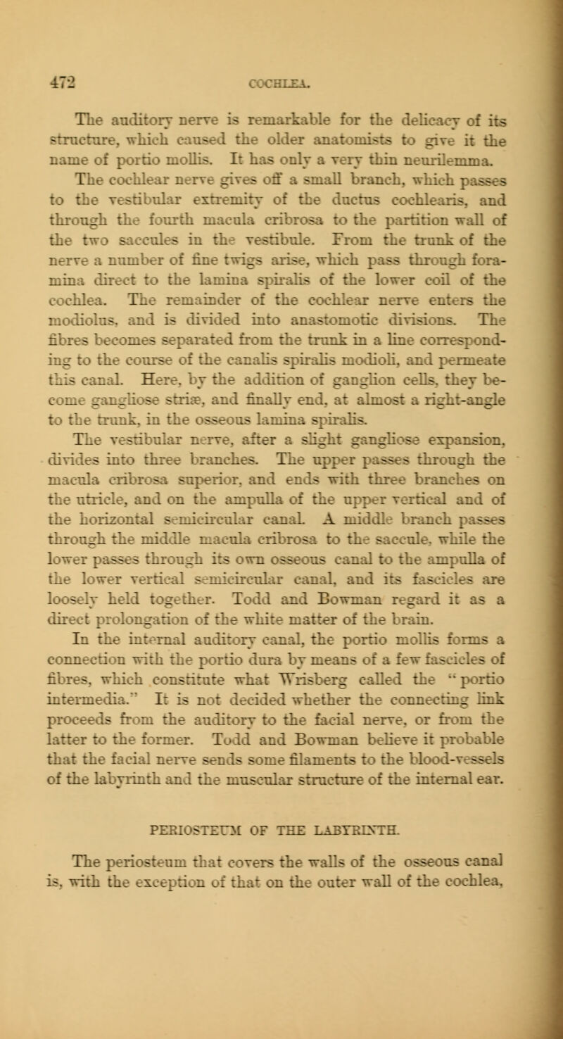 •47*2 COCHT.F.A. The anditorj nerve is remarkable for tlie delicacy of its structnre, which caused the older anatomists to give it the name of portio mollis. It has only a very thin neurilemma- The cochlear nerve gives off a small branch, which passes to the vestibular extremity of the ductus cochleaiis, and through the fourth macula cribrosa to the partition wall of the two saccules in the vestibule. From the trunk of the nerve a number of fine twigs arise, which pass through fora- mina direct to the lamina spiralis of the lower coil of the cochlea. The remainder of the cochlear nerve enters the modiolus, and is divided into anastomotic divisions. The fibres becomes separated from the trunk in a line correspond- ing to the course of the canalis spiralis modioli, and permeate this canal. Here, by the addition of ganglion cells, they be- come ganghose striie, and finally end, at almost a right-angle to the trunk, in the osseous lamina spiralis. The vestibular nerve, after a slight gangHose eicpanjsion. divides into three branches. The upper passes throngh the macula cribrosa superior, and ends with three branches on the utricle, and on the ampulla of the upper vertical and of the horizontal semicircular canaL A middle branch passes through the middle macula cribrosa to the saccule, while the lower passes through its own osseous canal to the ampulla of the lower vertical semicircular canal, and its fascicles are loosely held together. Todd and Bowman regard it as a direct prolongation of the white matter of the brain. In the internal auditory canal, the portio mollis foiTQS a connection with the portio dnra by means of a few fascicles of fibres, which constitute what Wrisberg called the portio intermedia. It is not decided whether the connecting link proceeds from the auditory to the facial nerve, or from the latter to the former. Todd and Bowman believe it probable that the facial nerve sends some filaments to the blood-vessels of the labviinth and the muscular structure of the internal ear. PEEIOSTEOI OF THE LABTECsTH. The periosteum that covers the walls of the osseous canal is, with the exception of that on the outer wall of the cochlea.