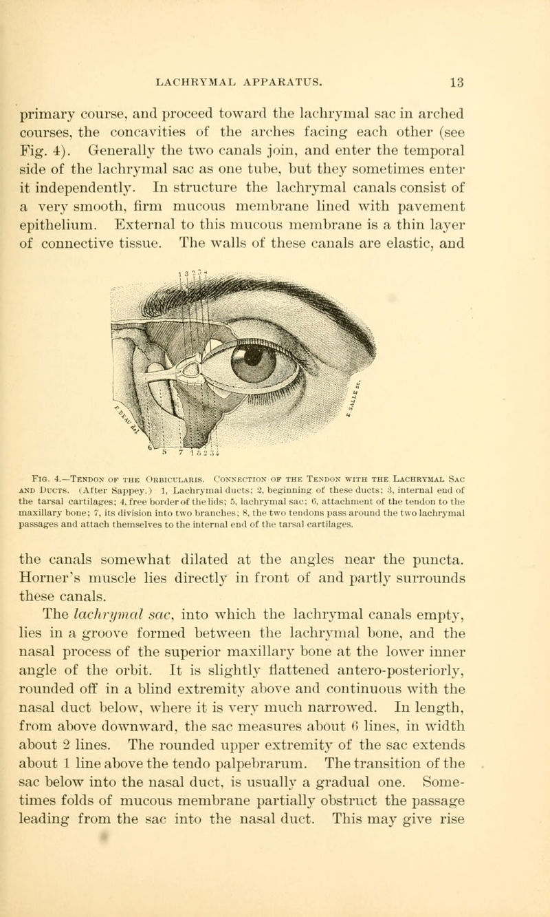 primary course, and proceed toward the lachrymal sac in arched courses, the concavities of the arches facing each other (see Fig. 4). Generally the two canals join, and enter the temporal side of the lachrymal sac as one tune, but they sometimes enter it independently. In structure the lachrymal canals consist of a very smooth, firm mucous membrane lined with pavement epithelium. External to this mucous membrane is a thin layer of connective tissue. The walls of these canals are elastic, and 5 7 1823 Fig. 4.—Tendon of the Orbicularis. Connection op the Tendon with the Lachrymal Sac and Ducts. (After Sappey.) 1, Lachrymal duets: 2. beginning of these ducts; 3, internal end of the tarsal cartilages; 4, free borderof the lids; 5, lachrymal sac; 0, attachment of the tendon to the maxillary bone; 7, its division into two branches; 8, the two tendons pass around the two lachrymal passages and attach themselves to the internal end of the tarsal cartilages. the canals somewhat dilated at the angles near the puncta. Horner's muscle lies directly in front of and partly surrounds these canals. The lachrymal sac, into which the lachrymal canals empty, lies in a groove formed between the lachrymal bone, and the nasal process of the superior maxillary bone at the lower inner angle of the orbit. It is slightly flattened antero-posteriorly, rounded off in a blind extremity above and continuous with the nasal duct below, where it is very much narrowed. In length, from above downward, the sac measures about 6 lines, in width about 2 lines. The rounded upper extremity of the sac extends about 1 line above the tendo palpebrarum. The transition of the sac below into the nasal duct, is usually a gradual one. Some- times folds of mucous membrane partially obstruct the passage leading from the sac into the nasal duct. This may give rise
