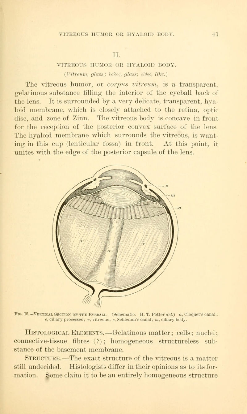 II. VITREOUS HUMOR OR HYALOID BODY. {Vitreum,, glass; baTiog, (/lass; dtiog, like.) The vitreous humor, or corpus vitreum, is a transparent, gelatinous substance filling the interior of the eyeball back of the lens. It is surrounded by a very delicate, transparent, hya- loid membrane, which is closely attached to the retina, optic disc, and zone of Zinn. The vitreous body is concave in front for the reception of the posterior convex surface of the lens. The hyaloid membrane which surrounds the vitreous, is want- ing in this cup (lenticular fossa) in front. At this point, it unites with the edge of the posterior capsule of the lens. Fig. 12.—Vertical Section of the Eyeball. (Schematic. H. T. Potter del.) a, Cloquet's canal: e, ciliary processes ; v, vitreous; s, Schlemiii's canal; m, ciliary body. Histological Elements.—Gelatinous matter; cells; nuclei; connective-tissue fibres (?); homogeneous structureless sub- stance of the basement membrane. Structure.—The exact structure of the vitreous is a matter still undecided. Histologists differ in their opinions as to its for- mation. Some claim it to be an entirely homogeneous structure