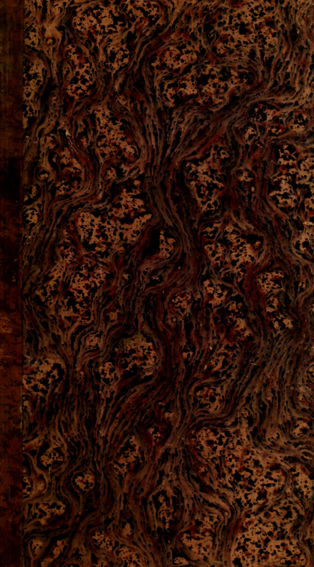 digitised image 1