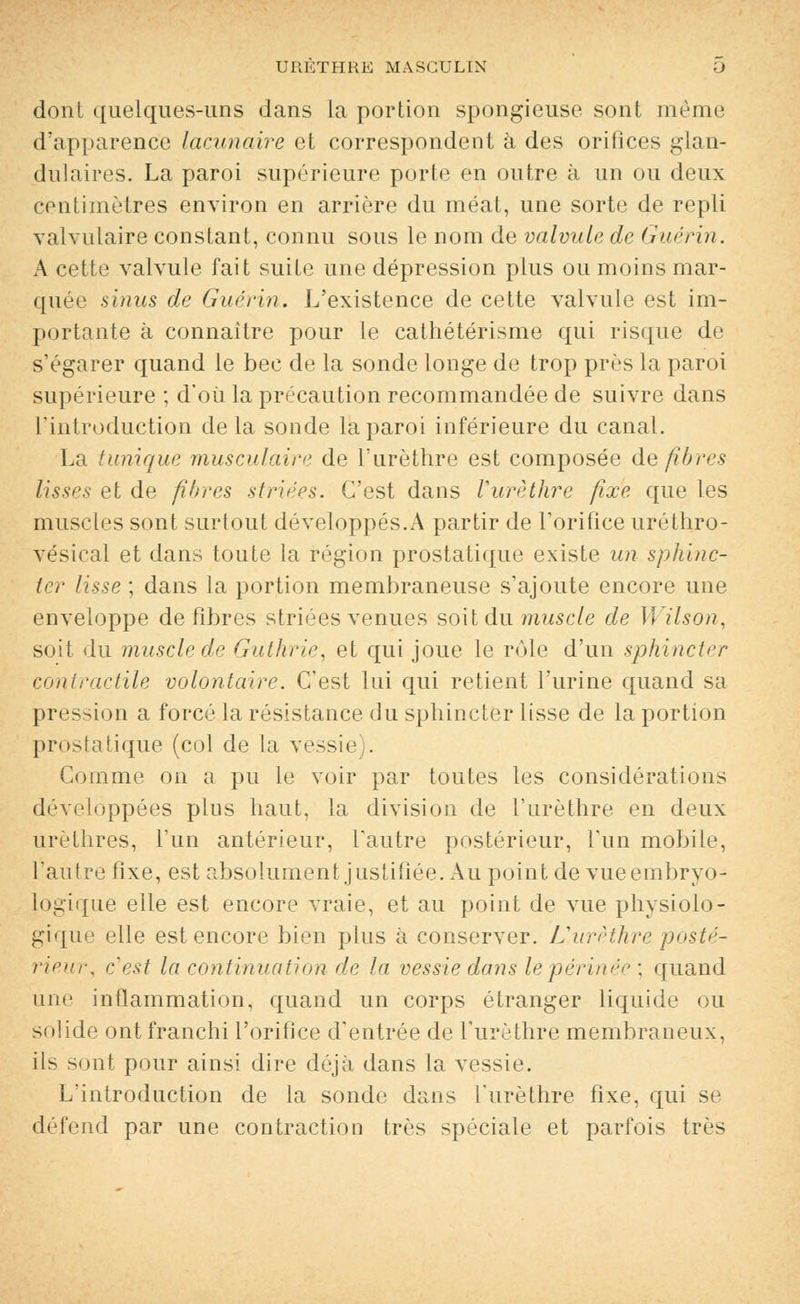 dont quelques-uns dans la portion spongieuse sont même d'apparence lacunaire et correspondent à des orifices glan- dulaires. La paroi supérieure porte en outre à un ou deux centimètres environ en arrière du méat, une sorte de repli val vulaire constant, connu sous le nom de valvule de Guérin. A cette valvule fait suite une dépression plus ou moins mar- quée sinus de Guérin. L'existence de cette valvule est im- portante à connaître pour le cathétérisme qui risque de s'égarer quand le bec de la sonde longe de trop près la paroi supérieure ; d'où la précaution recommandée de suivre dans l'introduction delà sonde la paroi inférieure du canal. La tunique musculaire de l'urèthre est composée défibres lisses et de fibres striées. C'est dans l'urèthre fixe que les muscles sont surtout développés.A partir de l'orifice uréthro- vésical et dans toute la région prostatique existe un sphinc- ter lisse ; dans la portion membraneuse s'ajoute encore une enveloppe défibres striées venues soit du muscle de Wilson, soit du muscle de Guthrie, et qui joue le rôle d'un sphincter contractile volontaire. C'est lui qui retient l'urine quand sa pression a forcé la résistance du sphincter lisse de la portion prostatique (col de la vessie). Comme on a pu le voir par toutes les considérations développées plus haut, la division de l'urèthre en deux urelhres, l'un antérieur, l'autre postérieur, l'un mobile, l'autre fixe, est absolument justifiée. Au point de vueembryo- logique elle est encore vraie, et au point de vue physiolo- gique elle est encore bien plus à conserver. L'urèthre posté- rieur, c'est la continuation de la vessie dans le périnée ; quand une inflammation, quand un corps étranger liquide ou solide ont franchi l'orifice d'entrée de l'urèthre membraneux, ils sont pour ainsi dire déjà dans la vessie. L'introduction de la sonde dans l'urèthre fixe, qui se défend par une contraction très spéciale et parfois très