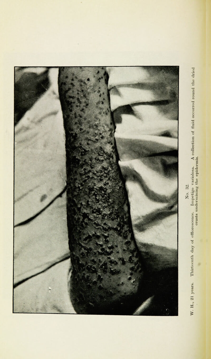 o ■o 'a so .a £ P- o » 5^ © 2 o £ £ <o QJ 3 S o