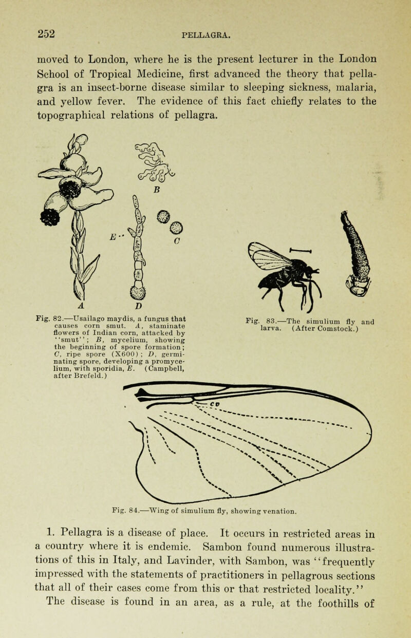 moved to London, where he is the present lecturer in the London School of Tropical Medicine, first advanced the theory that pella- gra is an insect-borne disease similar to sleeping sickness, malaria, and yellow fever. The evidence of this fact chiefly relates to the topographical relations of pellagra. Fig. 82.—Usailago maydis, a fungus that causes corn smut. A, staminate flowers of Indian corn, attacked by ''smut''; B, mycelium, showing the beginning of spore formation; C, ripe spore (X600); D, germi- nating spore, developing a promyce- lium, with sporidia, E. (Campbell, after Brefeld.) Pig. 83.—The simulium fly and larva. (After Comstock.) Fig. 84.—Wing of simulium fly, showing venation. 1. Pellagra is a disease of place. It occurs in restricted areas in a country where it is endemic. Sambon found numerous illustra- tions of this in Italy, and Lavinder, with Sambon, was '' frequently impressed with the statements of practitioners in pellagrous sections that all of their cases come from this or that restricted locality. The disease is found in an area, as a rule, at the foothills of