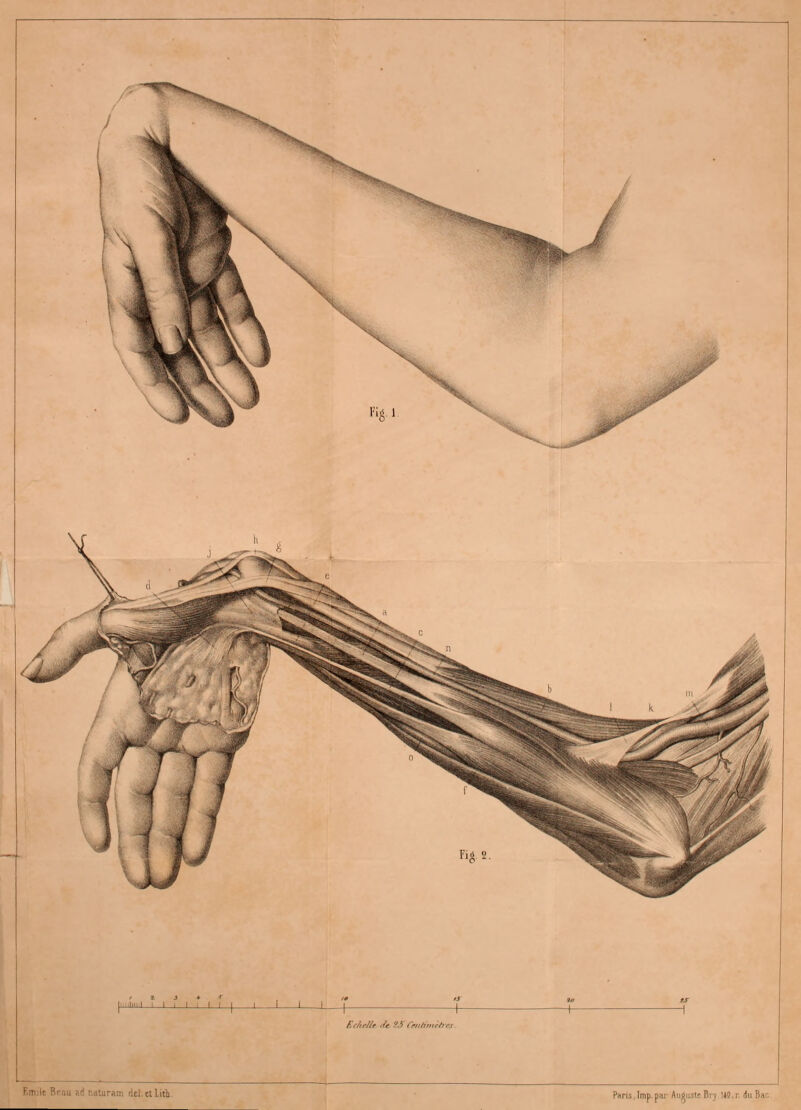 illlll I L_l LJ III l i i j_ I F.c/trUc >fe .' Cmltmehr Lel. et lith Pans.Imp.par Auguste P . : luBa