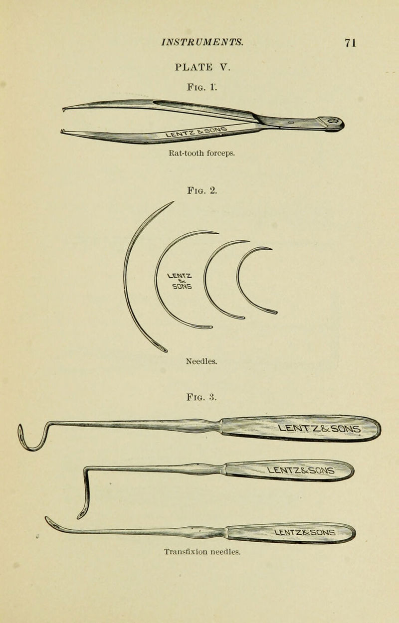 PLATE V. Fig. 1. Rat-tooth forceps. Fig. 2. Needles. Pig. 3. Transfixion needles.