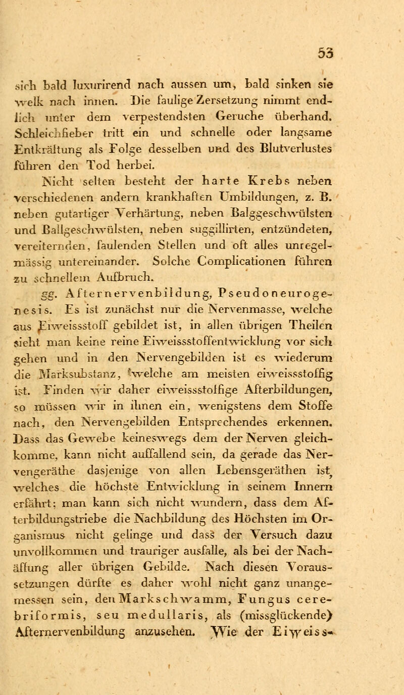 sich bald Iuxurirend nach aussen um, bald sinken sie welk nach innen. Die faulige Zersetzung nimmt end- lich unter dem verpestendsten Gerüche überhand. Schleichfieber tritt ein und schnelle oder langsame Entkräitung als Folge desselben und des Blutverlustes führen den Tod herbei. Nicht selten besteht der harte Krebs neben verschiedenen andern krankhaften Umbildungen, z. B. neben gutartiger Verhärtung, neben Balggeschwülsten und ßallgesehwülsten, neben suggillirten, entzündeten, vereiternden, faulenden Stellen und oft alles unregel- mässig untereinander. Solche Complicationen führen zu schnellem Aufbruch. gg. Afternervenbildung, Pseudoneuroge- ne sis. Es ist zunächst nur die Nervenmasse, welche aus Eiweissstoff gebildet ist, in allen übrigen Theilen sieht man keine reine Eiweissstoffentwickhmg vor sich gehen und in den Nervengebilden ist es wiederum die Marksubstanz, ^welche am meisten eiweissstoffig ist. Finden wir daher eiweissstoifige Afterbildungen, so müssen wir in ihnen ein, wenigstens dem Stoffe nach, den Nervengebilden Entsprechendes erkennen. Dass das Gewebe keineswegs dem der Nerven gleich- komme, kann nicht auffallend sein, da gerade das Ner- vens;eräthe dasjenige von allen Lebensgeräthen ist welches die höchste Entwicklung in seinem Innern erfährt; man kann sich nicht wundern, dass dem Af- terbildungstriebe die Nachbildung des Höchsten im Or- ganismus nicht gelinge und dasS der Versuch dazu unvollkommen und trauriger ausfalle, als bei der Nach- äffung aller übrigen Gebilde. Nach diesen Voraus- setzungen dürfte es daher wohl nicht ganz unange- messen sein, deuMarkschwamm, Fungus cere- briformis, seu medullaris, als (missglückende) Afternervenbildung anzusehen. SYie der Eiweiss«