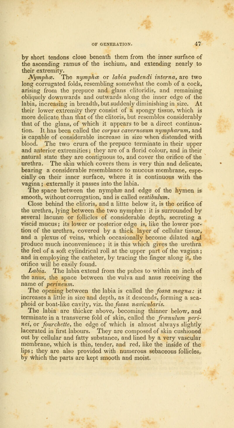 by short tendons close beneath them from the inner surface of the ascending ramus of the ischium, and extending nearly to their extremity. JVymphcB. The nymphce or labia pudendi interna, are two long corrugated folds, resembling somewhat the comb of a cock, arising from the prepuce and glans clitoridis, and remaining obliquely downwards and outwards along the inner edge of the labia, increasing in breadth, but suddenly diminishing in size. At their lower extremity they consist of a spongy tissue, which is more delicate than that of the clitoris, but resembles considerably that of the glans, of which it appears to be a direct continua- tion. It has been called the corpus cavernosum nympharum, and is capable of considerable increase in size when distended with blood. The two crura of the prepuce terminate in their upper and anterior extremities; they are of a florid colour, and in their natural state they are contiguous to, and cover the orifice of the urethra. The skin which covers them is very thin and delicate, bearing a considerable resemblance to mucous membrane, espe- cially on their inner surface, where it is continuous with the vagina; externally it passes into the labia. The space between the nymphse and edge of the hymen is smooth, without corrugation, and is called vestibulum. Close behind the clitoris, and a littte below it, is the orifice of the urethra, lying between the two nymphae: it is surrounded by several lacuna) or follicles of considerable depth, secreting a viscid mucus; its lower or posterior edge is, like the lower por- tion of the urethra, covered by a thick layer of cellular tissue, and a plexus of veins, which occasionally become dilated anji produce much inconvenience; it is this which gives the urethra the feel of a soft cylindrical roll at the upper part of the vagina; and in employing the catheter, by tracing the finger along it, the orifice will be easily found. Labia. The labia extend from the pubes to within an inch of the anus, the space between the vulva and anus receiving the name of perineum. The opening between the labia is called the fossa magna: it increases a little in size and depth, as it descends, forming a sca- phoid or boat-like cavity, viz. the fossa navicularis. The labia are thicker above, becoming thinner below, and terminate in a transverse fold of skin, called the frenulum peri- nei, or fourchette, the edge of which is almost always slightly lacerated in first labours. They are composed of skin cushioned out by cellular and fatty substance, and lined by a very vascular membrane, which is thin, tender, and red, like the inside of the lips; they are also provided with numerous sebaceous follicles, by which the parts are kept smooth and moist.