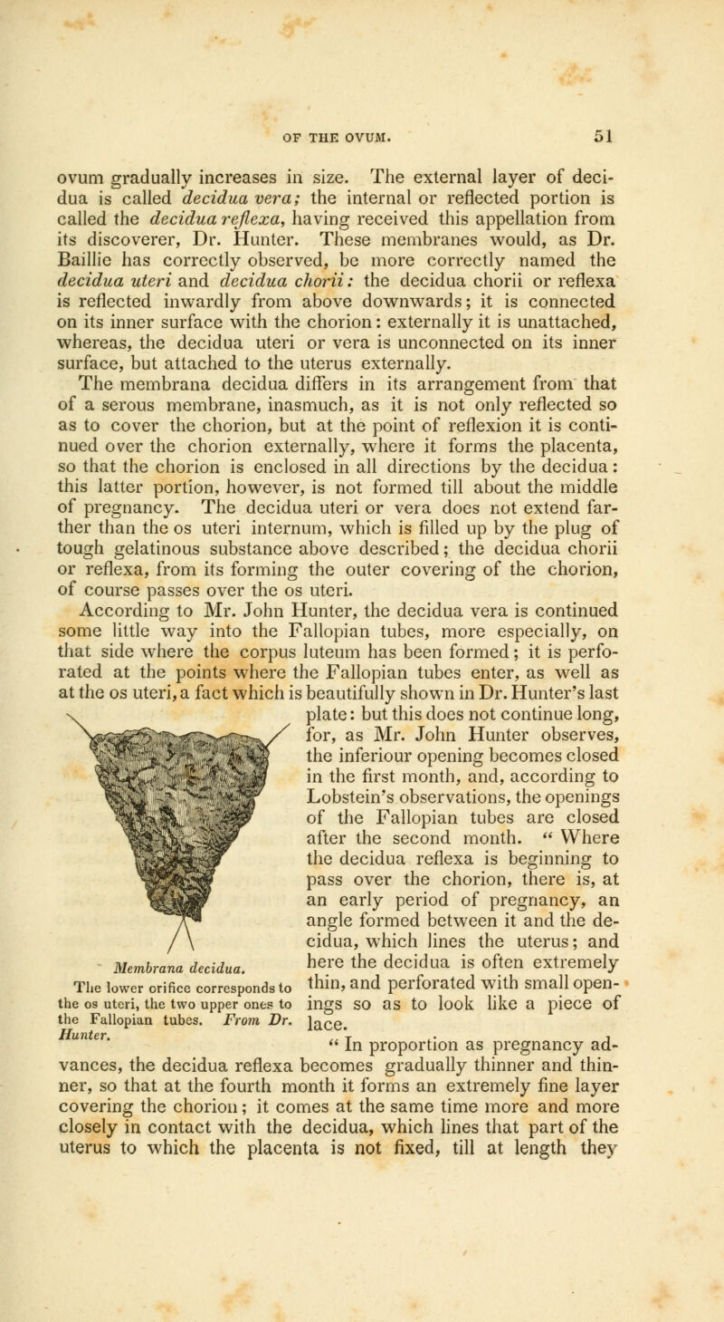 ovum gradually increases in size. The external layer of deci- dua is called decidua vera; the internal or reflected portion is called the decidua reflexa, having received this appellation from its discoverer, Dr. Hunter. These membranes would, as Dr. Baillie has correctly observed, be more correctly named the decidua uteri and decidua chorii: the decidua chorii or reflexa is reflected inwardly from above downwards; it is connected on its inner surface with the chorion: externally it is unattached, whereas, the decidua uteri or vera is unconnected on its inner surface, but attached to the uterus externally. The membrana decidua differs in its arrangement from that of a serous membrane, inasmuch, as it is not only reflected so as to cover the chorion, but at the point of reflexion it is conti- nued over the chorion externally, where it forms the placenta, so that the chorion is enclosed in all directions by the decidua: this latter portion, however, is not formed till about the middle of pregnancy. The decidua uteri or vera does not extend far- ther than the os uteri internum, which is filled up by the plug of tough gelatinous substance above described; the decidua chorii or reflexa, from its forming the outer covering of the chorion, of course passes over the os uteri. According to Mr. John Hunter, the decidua vera is continued some little way into the Fallopian tubes, more especially, on that side where the corpus luteum has been formed; it is perfo- rated at the points where the Fallopian tubes enter, as well as at the os uteri, a fact which is beautifully shown in Dr. Hunter's last plate: but this does not continue long, for, as Mr. John Hunter observes, the inferiour opening becomes closed in the first month, and, according to Lobstein's observations, the openings of the Fallopian tubes are closed after the second month.  Where the decidua reflexa is beginning to pass over the chorion, there is, at an early period of pregnancy, an angle formed between it and the de- cidua, which lines the uterus; and Membrana decidua. here the decidua is often extremely The lower orifice corresponds to }hin, and perforated with small open- the os uteri, the two upper ones to ingS SO as to look like a piece of the Fallopian tubes. From Dr. Jace. Hunter. .. \ .. t  In proportion as pregnancy ad- vances, the decidua reflexa becomes gradually thinner and thin- ner, so that at the fourth month it forms an extremely fine layer covering the chorion; it comes at the same time more and more closely in contact with the decidua, which lines that part of the uterus to which the placenta is not fixed, till at length they