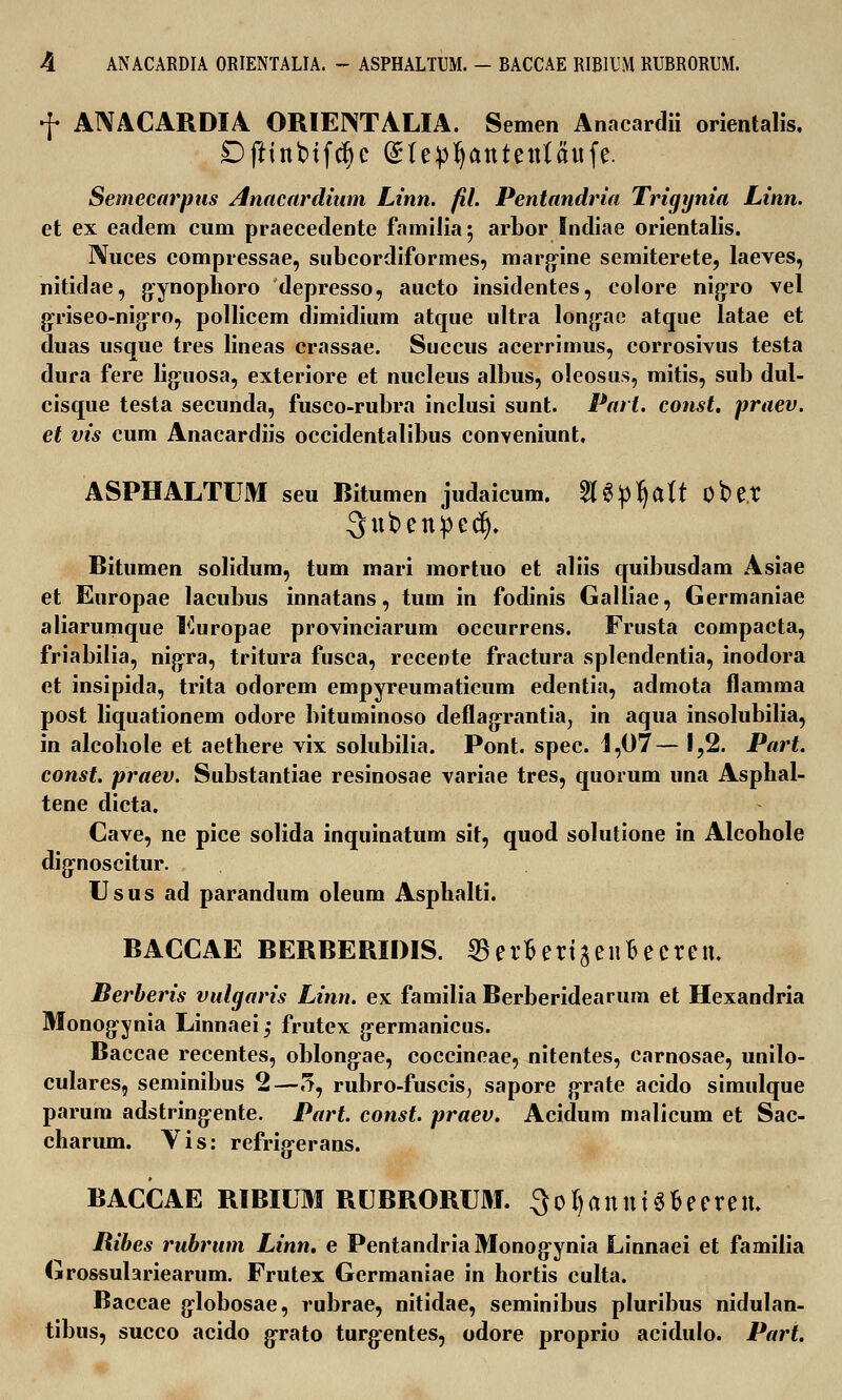 f ANACARDIA ORIENTALIA. Semen Anacardii orientalis, Dfttnbtfdjc Qjrlepfyantenlanfe. Semecarpus Anacardium Linn. fil. Pentandria Trigynia Linn. et ex eadem cum praecedente familia$ arbor Indiae orientalis. Nuces compressae, subcordiformes, margine semiterete, laeves, nitidae, gynophoro depresso, aucto insidentes, colore nigro vet griseo-nigro, pollicem dimidium atque ultra longae atque latae et duas usque tres lineas crassae. Succus acerrimus, corrosivus testa dura fere liguosa, exteriore et nucleus albus, oleosus, mitis, sub dul- cisque testa secunda, fusco-rubra inclusi sunt. Part. const, praev. et vis cum Anacardiis occidentalibus conveniunt. ASPHALTUM seu Bitumen judaicum. %^^M obet ■Snbenped), Bitumen solidum, tum mari mortuo et aliis quibusdam Asiae et Europae lacubus innatans, tum in fodinis Galliae, Germaniae aliarumque Europae provinciarum occurrens. Frusta compacta, friabilia, nigra, tritura fusca, recente fractura splendentia, inodora et insipida, trita odorem empyreumaticum edentia, admota flamma post liquationem odore bituminoso deflagrantia, in aqua insolubilia, in alcobole et aethere vix solubilia. Pont. spec. 1,07— 1,2. Part. const. praev. Substantiae resinosae variae tres, quorum una Asphal- tene dicta. Cave, ne pice solida inquinatum sit, quod solutione in Alcohole dignoscitur. Usus ad parandum oleum Asphalti. BACCAE BERBERIDIS. ^erfcertaenfiecren. Berberis vulgaris Linn. ex familia Berberidearum et Hexandria Monogynia Linnaei; frutex g-ermanicus. Baccae recentes, oblong-ae, coccineae, nitentes, carnosae, unilo- culares, seminibus 2—5, rubro-fuscis, sapore grate acido simulque parura adstringente. Part. const. praev. Acidum malicum et Sac- charum. Vis: refrig-erans. BACCAE RIBIUM RUBRORU3J. ^oJjanntS&eeren. Ribes rubrum Linn. e PentandriaMonogvnia Linnaei et familia Grossulariearum. Frutex Germaniae in hortis culta. Baccae g-lobosae, rubrae, nitidae, seminibus pluribus nidulan- tibus, succo acido grato turg-entes, odore proprio acidulo. Part.