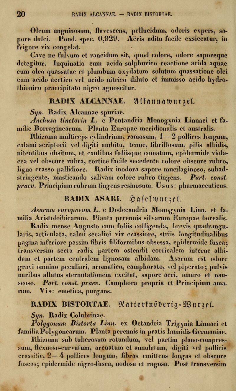 Oleuin unguinosum, flavescens, pellucidum, otloris expers, sa- pore dulci. Pond. spec. 0,92i). Aeris aditu facile exsiccatur, in frig:ore vix congelat. Cave ne fulvum et rancidum sit, quod colore, odore saporeque detegitur. Inquinatio cum acido sulpliurico reactione acida aquae cum oleo quassatae et plumbum oxydatum solutum quassatione olei cum acido acetico vel acido nitrico diluto et immisso acido hydro- thionico praecipitato nigro agnoscitur. RADIX ALCANNAE. aifannawurjet. Syn. Radix Alcannae spuriae. Anchusa tinctoria L. e Pentandria Monogynia Linnaei et fa- milie Borraginearum. Planta Europae meridionalis et australis. Rhizoma multiceps cylindrium, ramosum, 1—2 pollices long-uui, calami scriptorii vcl digiti ambitu, tenue, fibrillosum, pilis albidis, nitentibus obsitum, et caulibus foliisque comatum, epidermide viola- cea vel obscure rubra, cortice facile secedente colore obscure rubro, ligno crasso pallidiore. Radix inodora sapore mucilaginoso, subad- stringente, masticando salivam colore rubro tingens. Part. const. praev. Principiumrubrumtingensresinosum. Usus: pharmaceuticus. RADIX ASARI. ^afettourjet. Asarum europaeum L. e Dodecandria Monogynia Linn. et fa- milia Aristoloibicarum. Planta perennis silvarum Europae borealis. Radix mense Augusto cum foliis collig:enda, brevis quadrangu- laris, articulata, calmi secalini vix crassiore, striis longitudinalibus pag-ina inferiore passim fibris filiformibus obsessa, epidermide fusca^ transversim secta radix partem ostendit corticalem interne albi- dam et partem centralem lig-nosam albidam. Asarum est odore gravi omnino peculiari, aromatico, camphorato, velpiperatoj pulvis naribus allatus sternutationem excitat, sapore acri, amaro et nau- seoso. Part. const. praev. Camphora propria et Principium ama- rum. Yis: emetica, purg-ans. RADIX RISTORTAE. 9fcattetftt8t>ertg*2Buraet. Syn. Radix Colubrinae. Polygonum Bistorta Linn. ex Octandria Trigynia Linnaei et familia Polygonearum. Planta perennis in pratis humidis Germaniae. Rhizoma sub tuberosum rotundum, vel partim plano-compres- sum, flexuoso-curvatum, arcuatum et annulatum, digiti vel pollicis crassilie, 2—4 pollices longum, fibras emittens longas et obscure fuscas; epidermide nigro-fusca, nodosa et rug^osa. Post transversim