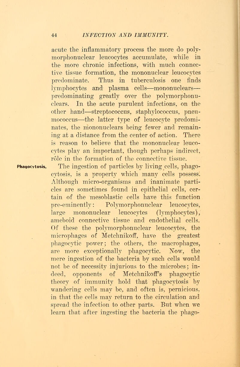acute the inflammatory process the more do poly- morphonuclear leucocytes accumulate, while in the more chronic infections., with much connec- tive tissue formation, the mononuclear leucocytes predominate. Thus in tuberculosis one finds tymphocytes and plasma cells—mononuclears— predominating greatly over the polymorphonu- clears. In the acute purulent infections, on the other hand—streptococcus, staphylococcus, pneu- mococcus—-the latter type of leucocyte predomi- nates, the mononuclears being fewer and remain- ing at a distance from the center of action. There is reason to believe that the mononuclear leuco- cytes play an important, though perhaps indirect, role in the formation of the connective tissue. Phagocytosis. The ingestion of particles by living cells, phago- cytosis, is a property which many cells possess. Although micro-organisms and inanimate parti- cles are sometimes found in epithelial cells, cer- tain of the mesoblastic cells have this function pre-eminently: Polymorphonuclear leucocytes, large mononuclear leucoc}rtes (lymphocytes), ameboid connective tissue and endothelial cells. Of these the polymorphonuclear leucocytes, the macrophages of Metchnikoff, have the greatest phagocytic power; the others, the macrophages, are more exceptionally phagocytic. Now, the mere ingestion of the bacteria by such cells would not be of necessity injurious to the microbes; in- deed, opponents of MetchnikofFs phagocytic theory of immunity hold that phagocytosis by wandering cells may be, and often is, pernicious, in that the cells may return to the circulation and spread the infection to other parts. But when we learn that after ingesting the bacteria the phago-