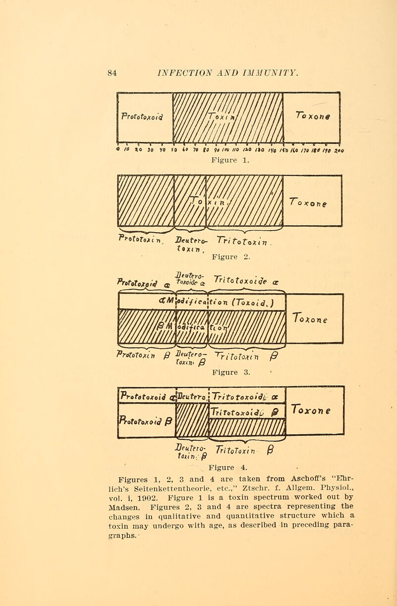 Frototoxoi'4 To \ ■ » » * > 0 la to 30 to 10 i« 70 JO »»/m //O /»0 /JO /y« /fo /{0 /» /»* tft 3*0 Figure 1. TrotoU* I •„. JDeuUro- Tri to tox < n . toxm , Figure 2. • Ueutrro- ~r + + • , Prototoxpiii a To*ofiea ,T<T<>iaxot«e or lOKLTV /B Figure 3. Vrototoxcii c&DeuteTo'TritotoxoiJt CC oxone Dtuttro- TritoToxin 0 Uun, ft Figure 4. Figures 1, 2, 3 and 4 are taken from Aschoff's Ehr- lich's Seitenkettentheorie, etc., Ztschr. f. Allgem. Physiol., vol. i, 1902. Figure 1 is a toxin spectrum worked out by Madsen. Figures 2, 3 and 4 are spectra representing the changes in qualitative and quantitative structure which a toxin may undergo with age, as described in preceding para- graphs. ■