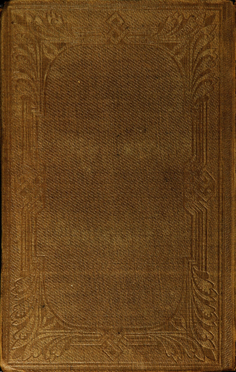 il '■ •.•■'■.'