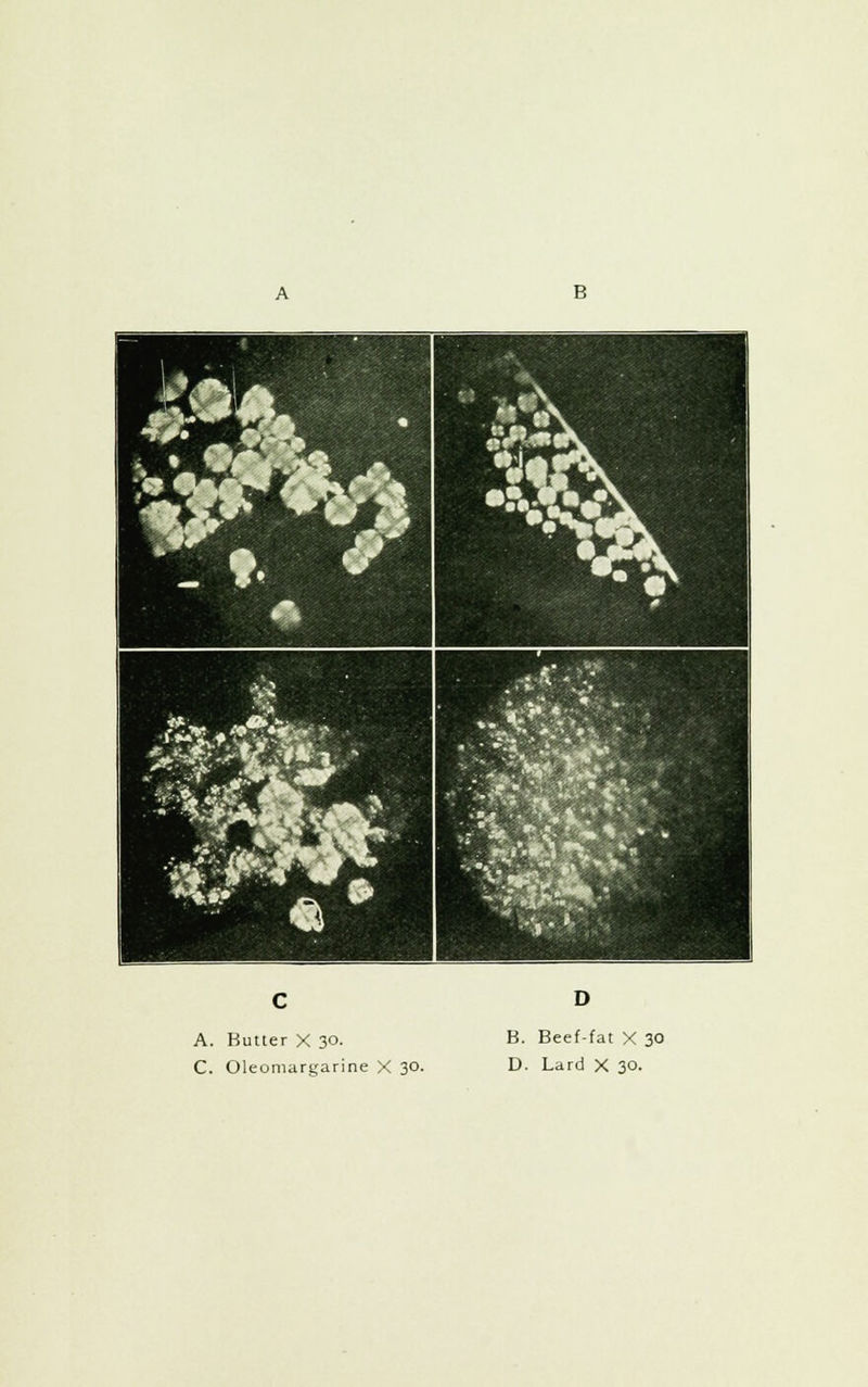 C. Oleomargarine X 3°- D. Lard X 30.