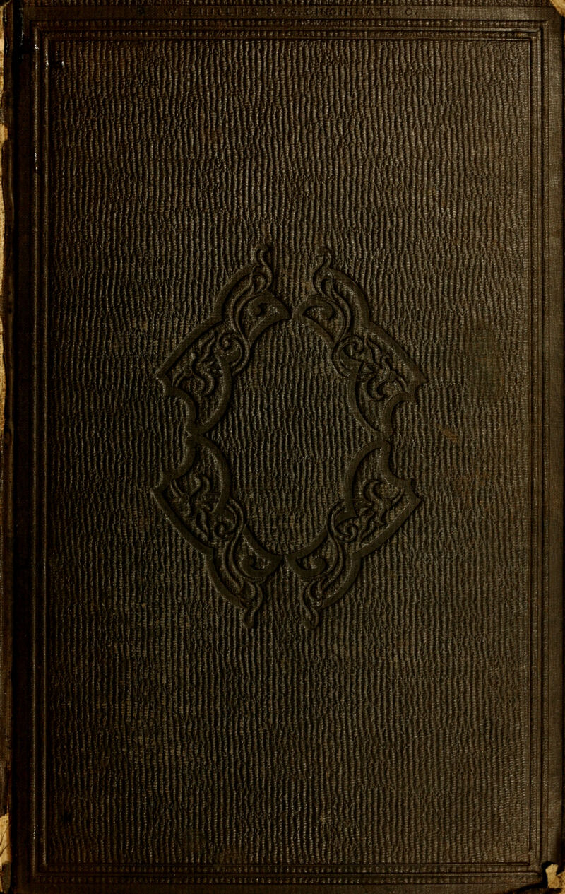 'ft ff /' UttW \ Hi fir \ : i - Ml' \\ ■/SS y ,'-» sPSsi» sV«'i%s