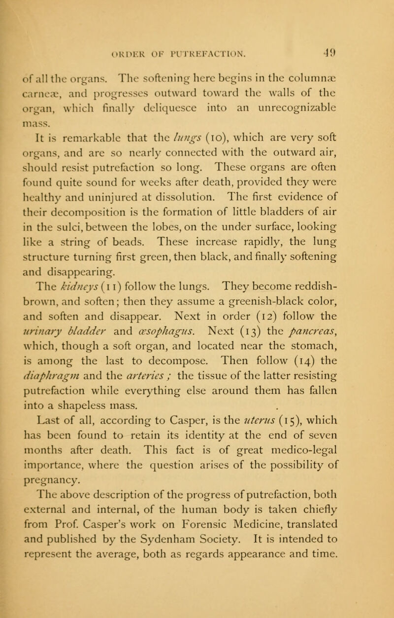 of all the organs. The softening here begins in the columnar carnese, and progresses outward toward the walls of the organ, which finally deliquesce into an unrecognizable mass. It is remarkable that the lungs (10), which are very soft organs, and are so nearly connected with the outward air, should resist putrefaction so long. These organs are often found quite sound for weeks after death, provided they were health}- and uninjured at dissolution. The first evidence of their decomposition is the formation of little bladders of air in the sulci, between the lobes, on the under surface, looking like a string of beads. These increase rapidly, the lung structure turning first green, then black, and finally softening and disappearing. The kidneys (11) follow the lungs. They become reddish- brown, and soften; then they assume a greenish-black color, and soften and disappear. Next in order (12) follow the urinary bladder and oesophagus. Next (13) the pancreas, which, though a soft organ, and located near the stomach, is among the last to decompose. Then follow (14) the diaphragm and the arteries ; the tissue of the latter resisting putrefaction while everything else around them has fallen into a shapeless mass. Last of all, according to Casper, is the uterus (15), which has been found to retain its identity at the end of seven months after death. This fact is of great medico-legal importance, where the question arises of the possibility of pregnancy. The above description of the progress of putrefaction, both external and internal, of the human body is taken chiefly from Prof. Casper's work on Forensic Medicine, translated and published by the Sydenham Society. It is intended to represent the average, both as regards appearance and time.