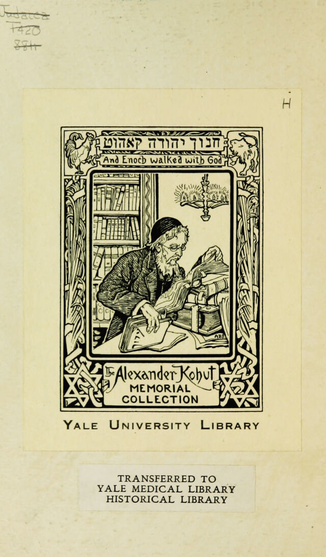 digitised image 2