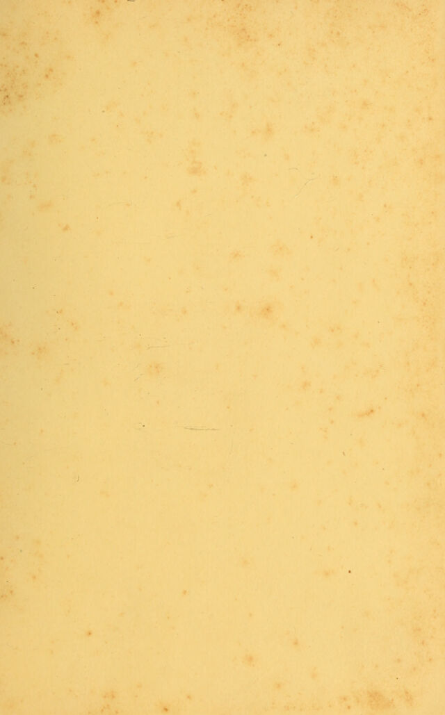 digitised image 3