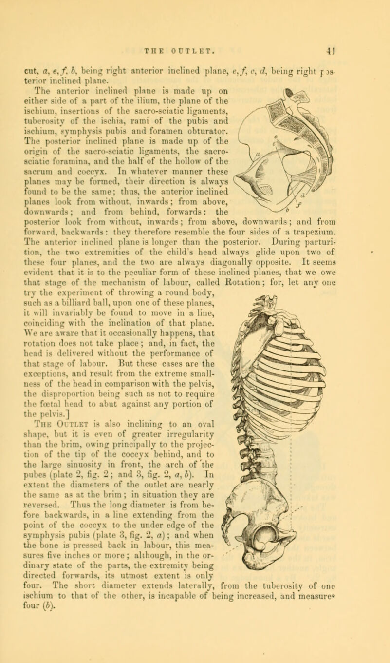 cut. a, e,f. b, being right anterior inclined plane, >■./, ■ •, </, being right r >s- terior inclined plane. The anterior inclined piano is made up on either Bide of a part of the ilium, the plane of the ischium, insertions of the Bacro-eciatio ligaments, tuberosity of the ischia, rami of the pubis and ischium, symphysis pubis ami foramen obturator. The posterior inolined plane is made up of the origin of the Bacro-eciatio ligaments, the saoro- sciatio foramina, and the half of the hollow of the sacrum ami coccyx. In whatever manner these planes may he formed, their direction is always found to lie the same: thus, the anterior inclined planes look from without, inwards; from above, downwards; and from behind, forwards: the look from without, inwards; from above, downwards; and from forward, backwards: they therefore resemble the four sides of a trapezium. The anterior inclined plane is longer than the posterior. During parturi- tion, the two extremities id* the child's head always glide upon two of these four planes, and the two are always diagonally opposite. It seems evident that it is to the peculiar form of these inclined planes, that we owe that stage of the mechanism of labour, called Rotation; for, let anyone try the experiment of throwing a round body, such as a billiard ball, upon one of these planes, it will invariably be found to move in a line, coinciding with the inclination of that plane. We are aware that it occasionally happens, that rotation dues not take place; and, in fact, the head is delivered without the performance of Ige of labour. Hut these cases are the exceptions, and result from the extreme small- the head in comparison with the pelvis, the disproportion being such as not to require ! load !•/ abut against any portion of the pelvis.] TllK OUTLET is also inclining to an oval '•lit it i< even <>f greater irregularity than the brim, owing principally to the projec- tion of the tip <>f the coccyx behind, ami to the large BinuoeitV in front, the arch of the _ fig. - ; and :!, fig. •_', a, b). In extent the diameters of the outlet are nearly the same as at the brim ; in situation they are i. Thus the long diameter is from be- fore backward-, in a line extending from the point of the coccyx to the under edge of the symphysis pubis (plate :'-, ti_'. 2, a); and when the boi • i-. in labour, this mea- sures five inches or more; although, in the or- dinary state of the parts, the extremity being directed forwar i stent is only four. The short diameter extends laterally, from the tuberosity of one ischium to that of the other, is incapable of being increased, and measure* four (b).