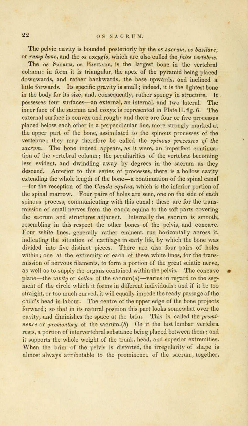 The pelvic cavity is bounded posteriorly by the os sacrum, os basilare, or rump bone, and the os coxygis, which are also called the false vertebra?. The os Sacrum, os Basilare, is the largest bone in the vertebral column: in form it is triangular, the apex of the pyramid being placed downwards, and rather backwards, the base upwards, and inclined a little forwards. Its specific gravity is small; indeed, it is the lightest bone in the body for its size, and, consequently, rather spongy in structure. It possesses four surfaces—an external, an internal, and two lateral. The inner face of the sacrum and coxyx is represented in Plate II. fig. 6. The external surface is convex and rough; and there are four or five processes placed below each other in a perpendicular line, more strongly marked at the upper part of the bone, assimilated to the spinous processes of the vertebras; they may therefore be called the spinous processes of the sacrum. The bone indeed appears, as it were, an imperfect continua- tion of the vertebral column; the peculiarities of the vertebras becoming less evident, and dwindling away by degrees in the sacrum as they descend. Anterior to this series of processes, there is a hollow cavity extending the whole length of the bone—a continuation of the spinal canal —for the reception of the Cauda equina, which is the inferior portion of the spinal marrow. Four pairs of holes are seen, one on the side of each spinous process, communicating with this canal: these are for the trans- mission of small nerves from the cauda equina to the soft parts covering the sacrum and structures adjacent. Internally the sacrum is smooth, resembling in this respect the other bones of the pelvis, and concave. Four white lines, generally rather eminent, run horizontally across it, indicating the situation of cartilage in early life, by which the bone was divided into five distinct pieces. There are also four pairs of holes within; one at the extremity of each of these white lines, for the trans- mission of nervous filaments, to form a portion of the great sciatic nerve, as well as to supply the organs contained within the pelvis. The concave plane—the cavity or hollow of the sacrum(a)—varies in regard to the seg- ment of the circle which it forms in different individuals; and if it be too straight, or too much curved, it will equally impede the ready passage of the child's head in labour. The centre of the upper edge of the bone projects forward; so that in its natural position this part looks somewhat over the cavity, and diminishes the space at the brim. This is called the 'promi- nence or promontory of the sacrum.(b) On it the last lumbar vertebra rests, a portion of intervertebral substance being placed between them ; and it supports the whole weight of the trunk, head, and superior extremities. When the brim of the pelvis is distorted, the irregularity of shape is almost always attributable to the prominence of the sacrum, together,