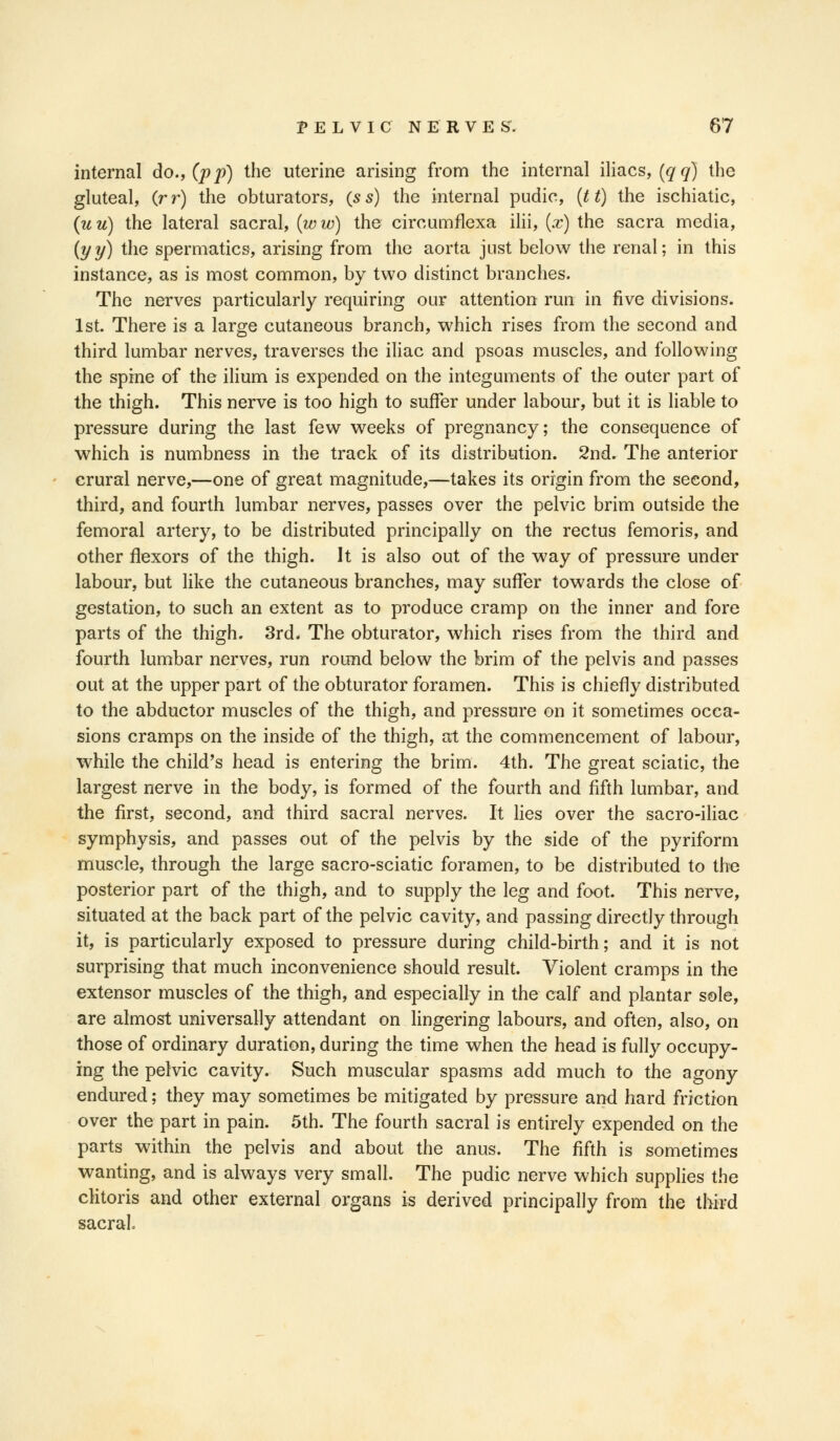 internal do., (pp) the uterine arising from the internal iliacs, [qq) the gluteal, (rr) the obturators, (s s) the internal pudic, (tt) the ischiatic, (u u) the lateral sacral, (w w) the circumflexa ilii, (x) the sacra media, (yy) the spermatics, arising from the aorta jnst below the renal; in this instance, as is most common, by two distinct branches. The nerves particularly requiring our attention run in five divisions. 1st. There is a large cutaneous branch, which rises from the second and third lumbar nerves, traverses the iliac and psoas muscles, and following the spine of the ilium is expended on the integuments of the outer part of the thigh. This nerve is too high to suffer under labour, but it is liable to pressure during the last few weeks of pregnancy; the consequence of which is numbness in the track of its distribution. 2nd. The anterior crural nerve,—one of great magnitude,—takes its origin from the second, third, and fourth lumbar nerves, passes over the pelvic brim outside the femoral artery, to be distributed principally on the rectus femoris, and other flexors of the thigh. It is also out of the way of pressure under labour, but like the cutaneous branches, may suffer towards the close of gestation, to such an extent as to produce cramp on the inner and fore parts of the thigh. 3rd. The obturator, which rises from the third and fourth lumbar nerves, run round below the brim of the pelvis and passes out at the upper part of the obturator foramen. This is chiefly distributed to the abductor muscles of the thigh, and pressure on it sometimes occa- sions cramps on the inside of the thigh, at the commencement of labour, while the child's head is entering the brim. 4th. The great sciatic, the largest nerve in the body, is formed of the fourth and fifth lumbar, and the first, second, and third sacral nerves. It lies over the sacro-iliac symphysis, and passes out of the pelvis by the side of the pyriform muscle, through the large sacro-sciatic foramen, to be distributed to the posterior part of the thigh, and to supply the leg and foot. This nerve, situated at the back part of the pelvic cavity, and passing directly through it, is particularly exposed to pressure during child-birth; and it is not surprising that much inconvenience should result. Violent cramps in the extensor muscles of the thigh, and especially in the calf and plantar sole, are almost universally attendant on lingering labours, and often, also, on those of ordinary duration, during the time when the head is fully occupy- ing the pelvic cavity. Such muscular spasms add much to the agony endured; they may sometimes be mitigated by pressure and hard friction over the part in pain. 5th. The fourth sacral is entirely expended on the parts within the pelvis and about the anus. The fifth is sometimes wanting, and is always very small. The pudic nerve which supplies the clitoris and other external organs is derived principally from the third sacral