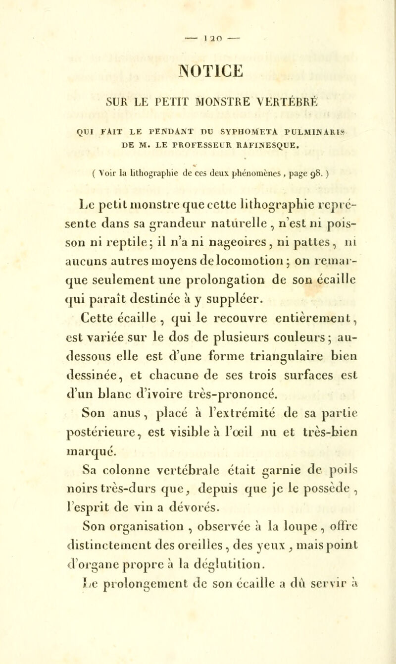 1 iO NOTICE SUR LE PETIT MONSTRE VERTÉBRÉ QUI FAIT LE PENDANT DU SYPHOMETA PULMINARIS DE M. LE PROFESSEUR RAFIJNESQUE. ( Voir la lithographie de ces deux phénomènes , page 98. ) Le petit monstre que cette lithographie repré- sente dans sa grandeur naturelle , n'est ni pois- son ni reptile5 il n'a ni nageoires, ni pattes, ni aucuns autres moyens de locomotion; on remar- que seulement une prolongation de son écaille qui paraît destinée à y suppléer. Cette écaille , qui le recouvre entièrement, est variée sur le dos de plusieurs couleurs ; au- dessous elle est d'une forme triangulaire bien dessinée, et chacune de ses trois surfaces est d'un blanc d'ivoire très-prononcé. Son anus, placé à l'extrémité de sa partie postérieure, est visible à l'oeil nu et très-bien marqué. Sa colonne vertébrale était garnie de poils noirs très-durs que, depuis que je le possède , l'esprit de vin a dévorés. Son organisation , observée à la loupe, offre distinctement des oreilles , des yeux , mais point d'organe propre à la déglutition. î^e prolongement de son écaille a dû servir a
