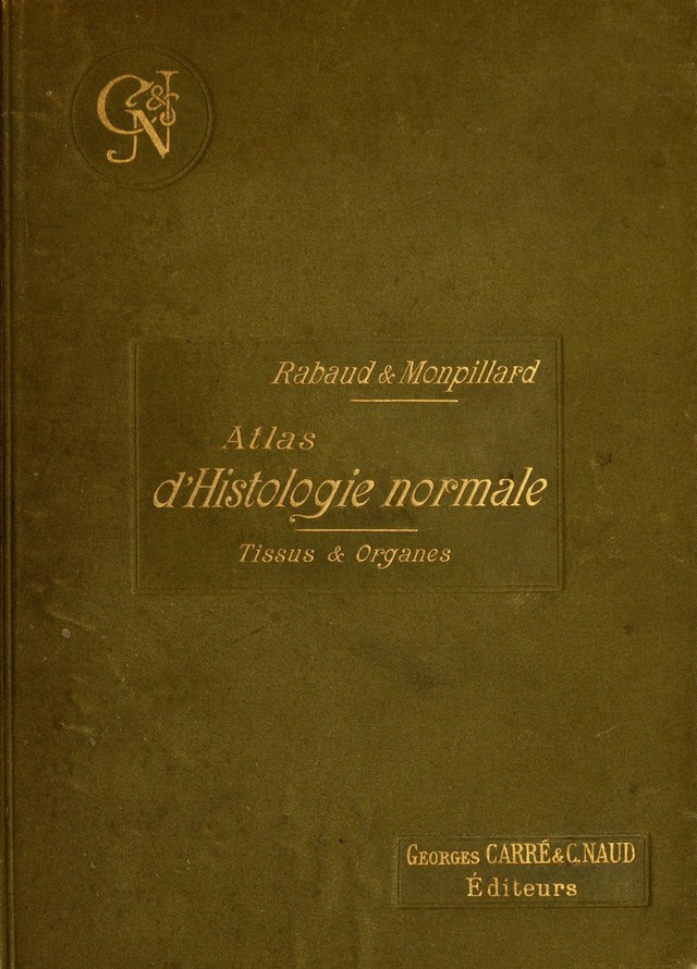 No text description is available for this image