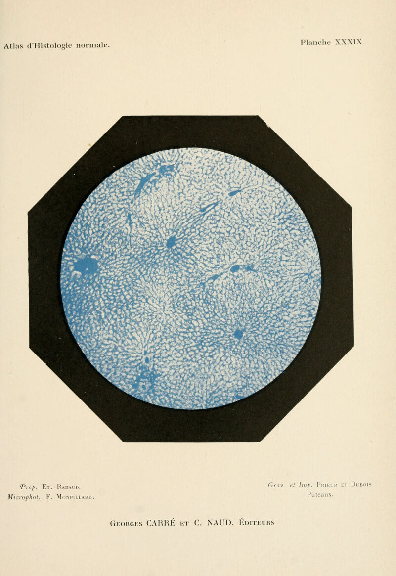 Trcp. Et. Rabaud. Microphot. F. Monpiixard. Grav. et Imp. Prieur et Dubois Puteaux.