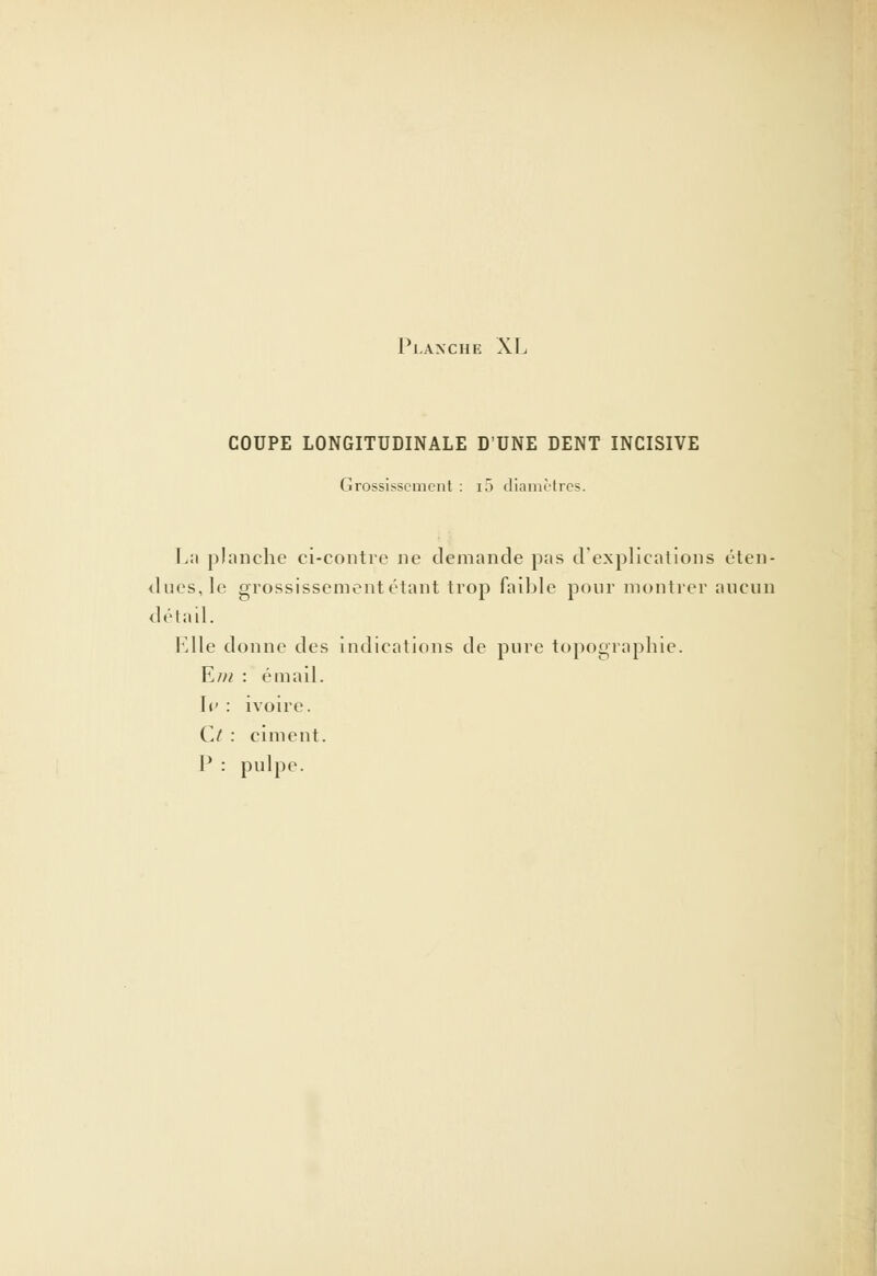 COUPE LONGITUDINALE D'UNE DENT INCISIVE Grossissement : iô diamètres. La planche ci-contre ne demande pas d'explications éten- dues, le grossissement étant trop faible pour montrer aucun détail. Elle donne des indications de pure topographie. V.in : émail. le : ivoire. O : ciment. I' : pulpe.