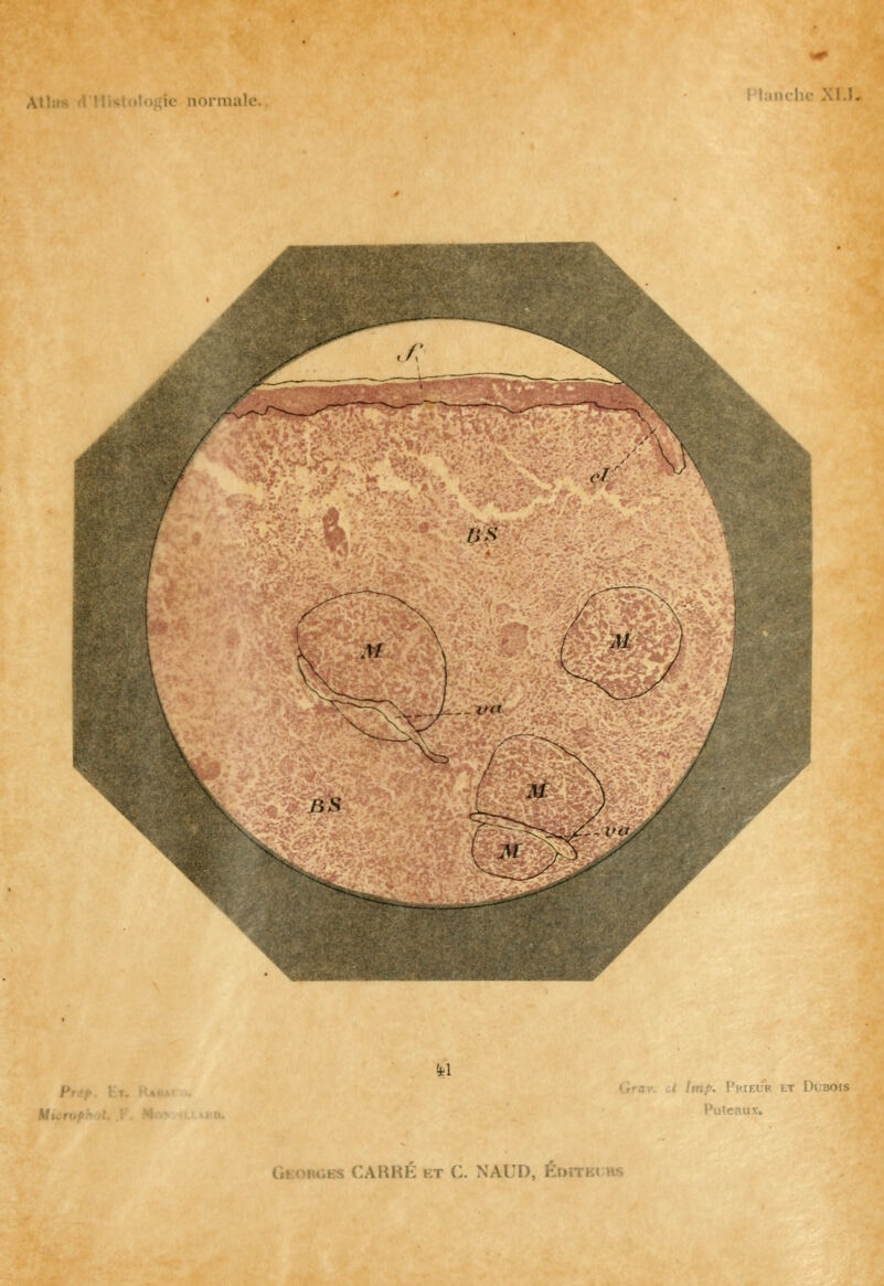 i. normale. US 'il . Prieur tT Dubois CARRÉ kt C. NAUD, Énn