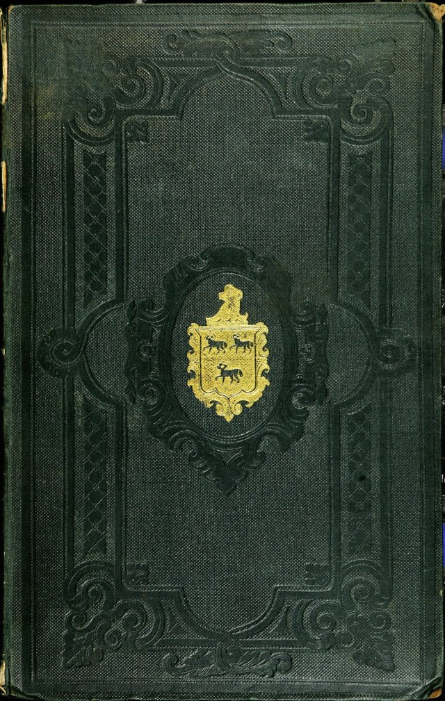 No text description is available for this image