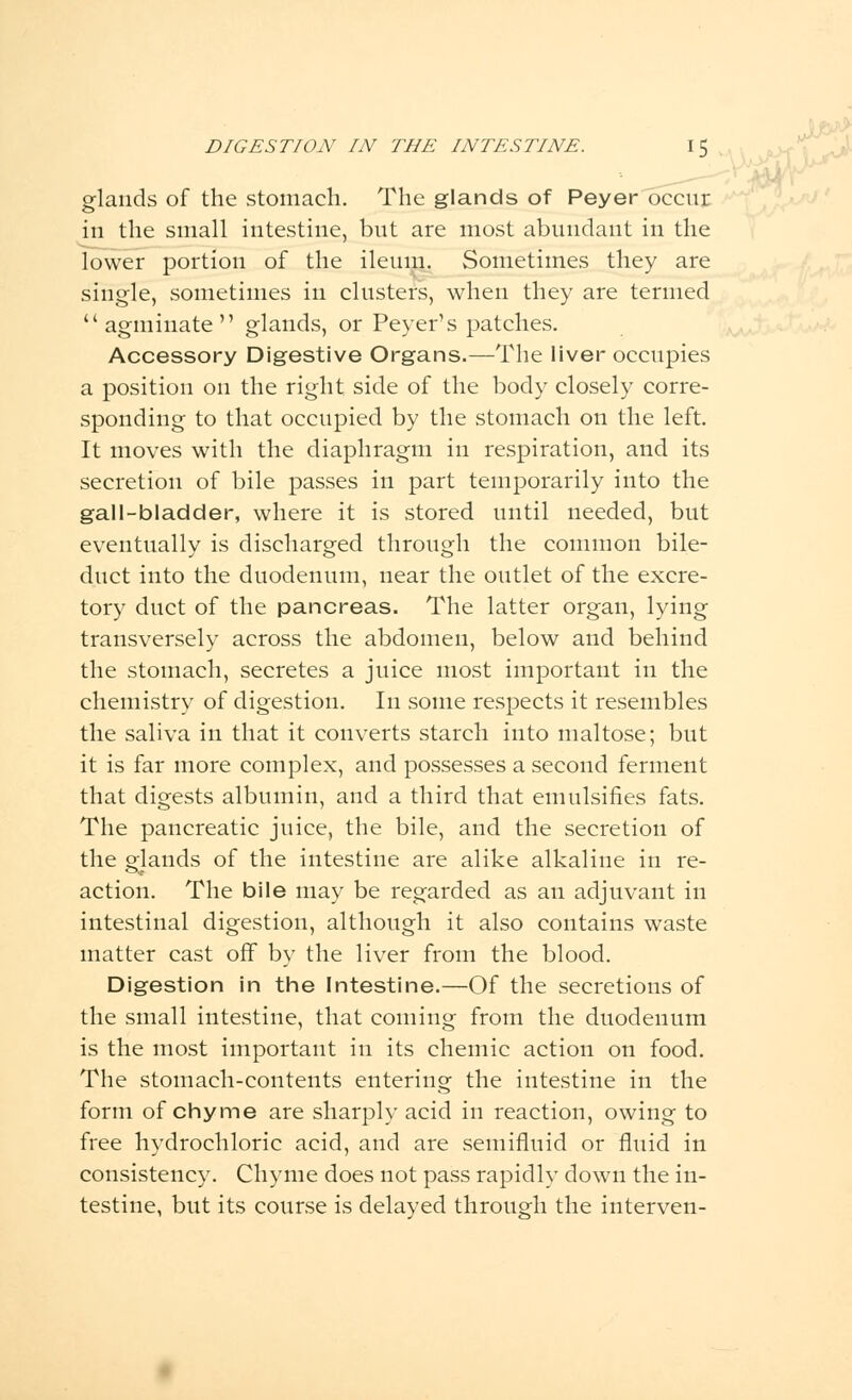 glands of the stomach. The glands of Peyer occur in the small intestine, but are most abundant in the lower portion of the ileum. Sometimes they are single, sometimes in clusters, when they are termed agminate glands, or Peyer's patches. Accessory Digestive Organs.—The liver occupies a position on the right side of the body closely corre- sponding to that occupied by the stomach on the left. It moves with the diaphragm in respiration, and its secretion of bile passes in part temporarily into the gall-bladder, where it is stored until needed, but eventually is discharged through the common bile- duct into the duodenum, near the outlet of the excre- tory duct of the pancreas. The latter organ, lying transversely across the abdomen, below and behind the stomach, secretes a juice most important in the chemistry of digestion. In some respects it resembles the saliva in that it converts starch into maltose; but it is far more complex, and possesses a second ferment that digests albumin, and a third that emulsifies fats. The pancreatic juice, the bile, and the secretion of the glands of the intestine are alike alkaline in re- action. The bile may be regarded as an adjuvant in intestinal digestion, although it also contains waste matter cast off by the liver from the blood. Digestion in the Intestine.—Of the secretions of the small intestine, that coming from the duodenum is the most important in its chemic action on food. The stomach-contents entering the intestine in the form of chyme are sharply acid in reaction, owing to free hydrochloric acid, and are semifluid or fluid in consistency. Chyme does not pass rapidly down the in- testine, but its course is delayed through the interven-